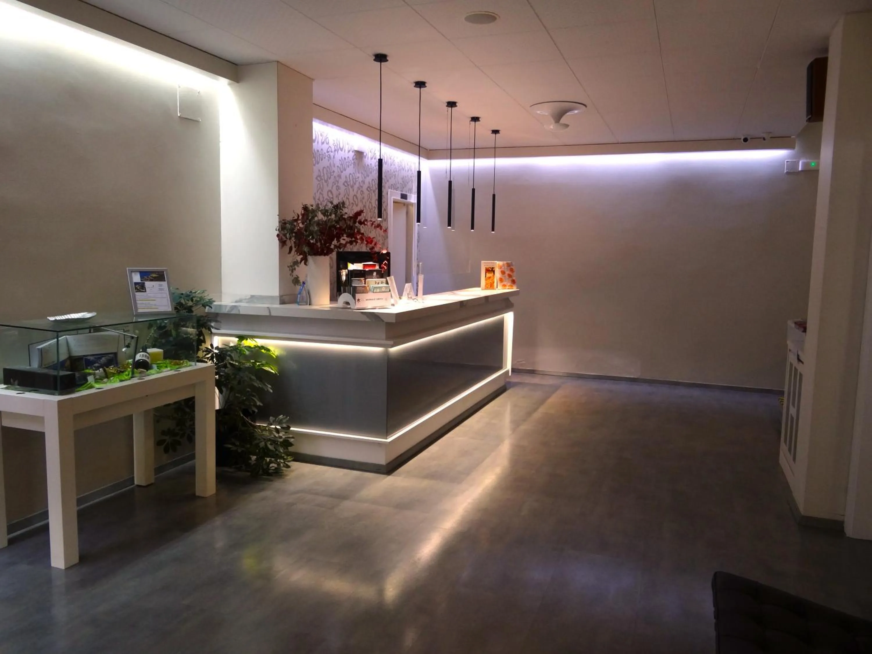 Lobby or reception in Hotel Sol-Park