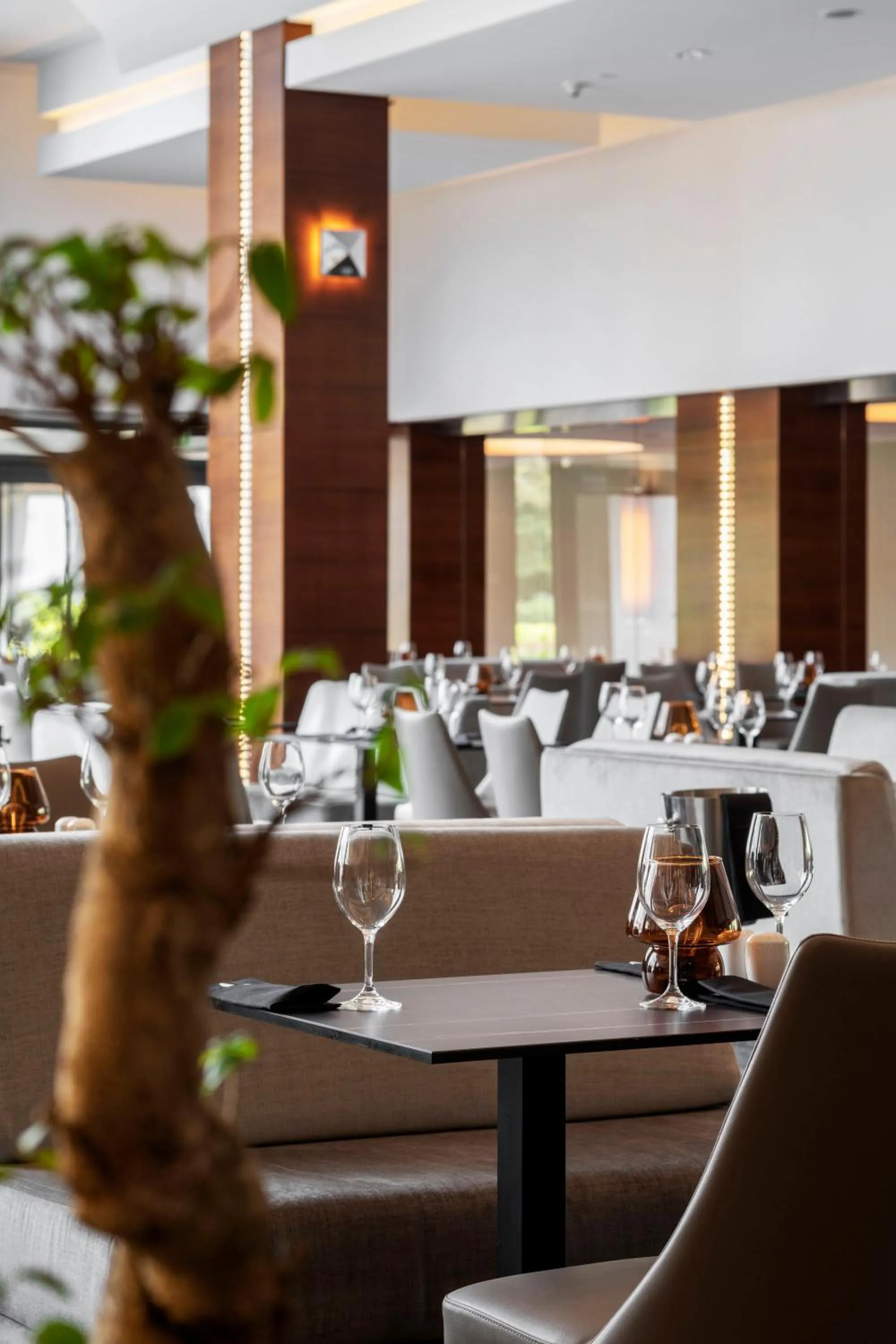 Restaurant/places to eat in Hotel Warszawianka