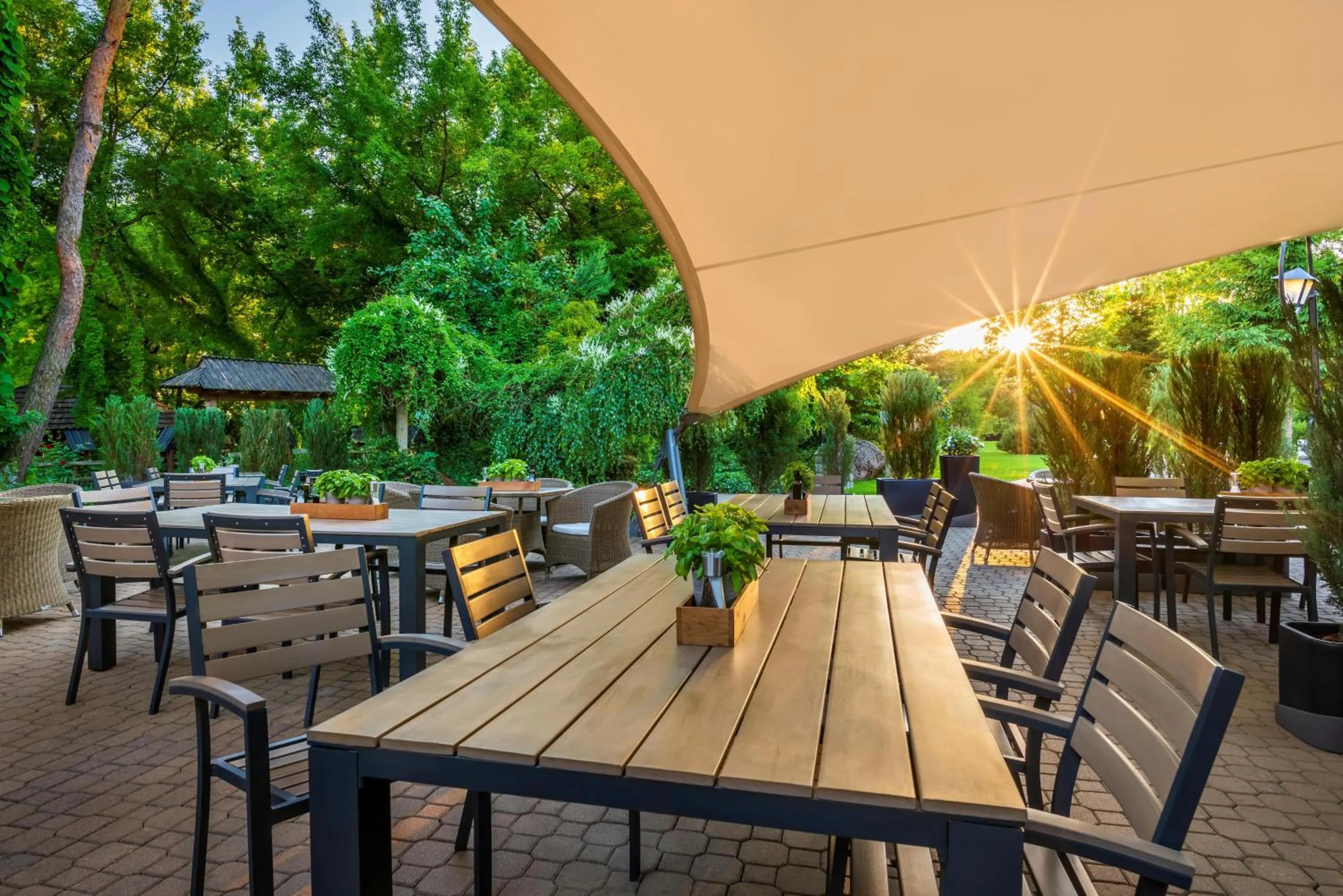 Restaurant/places to eat in Hotel Warszawianka