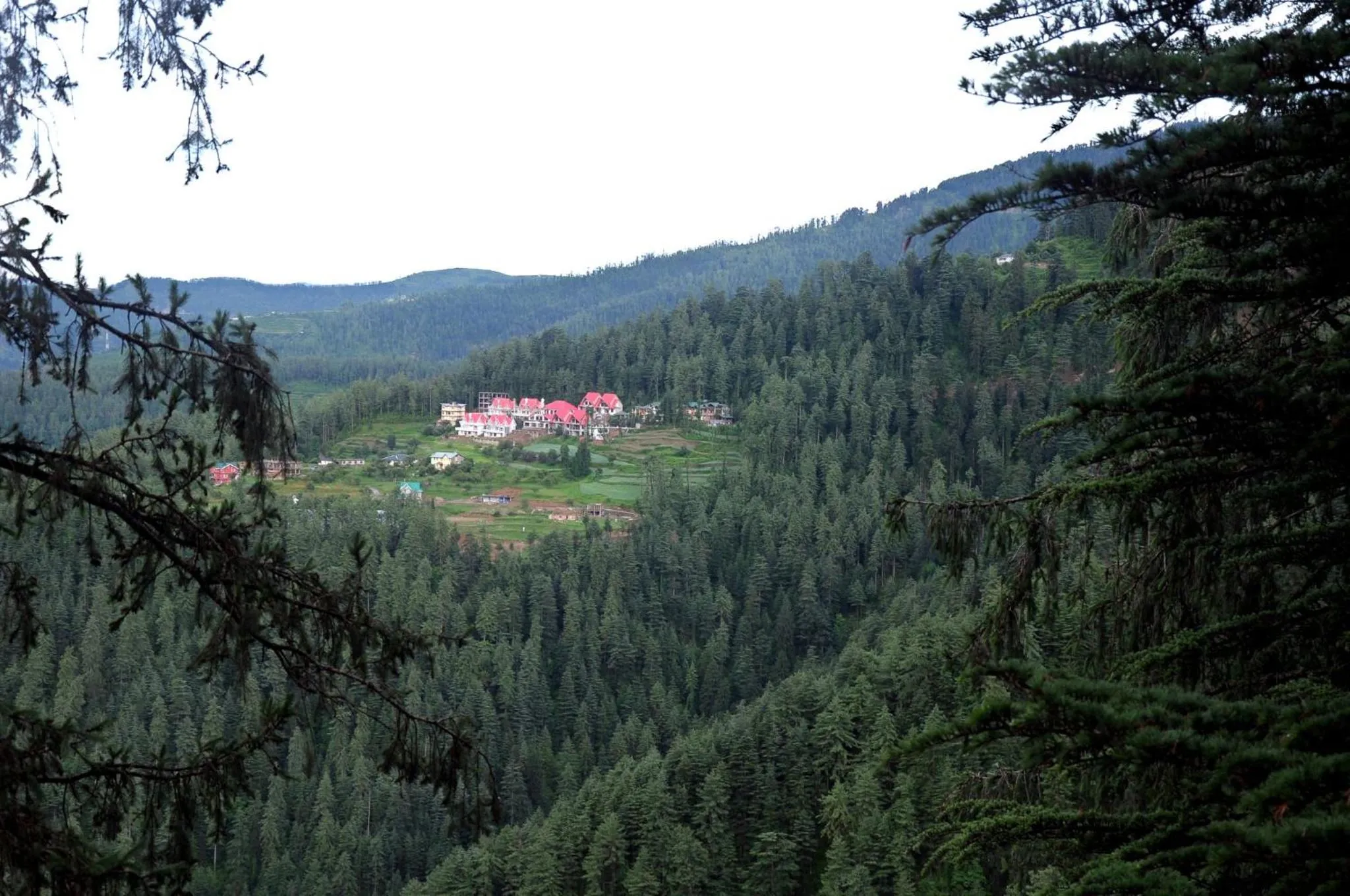 Mountain view in Mahasu House