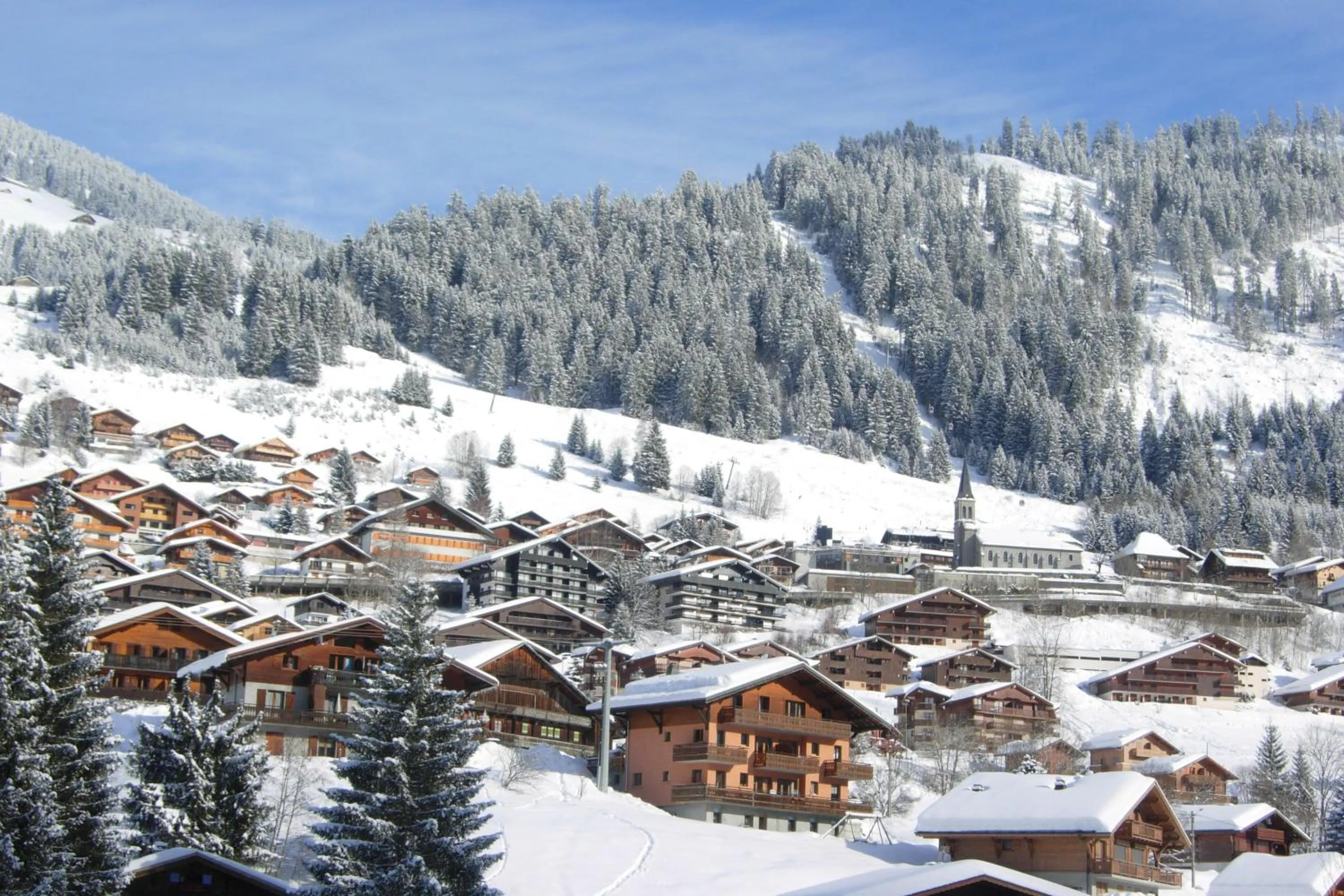 Area and facilities in Au Bois de Lune