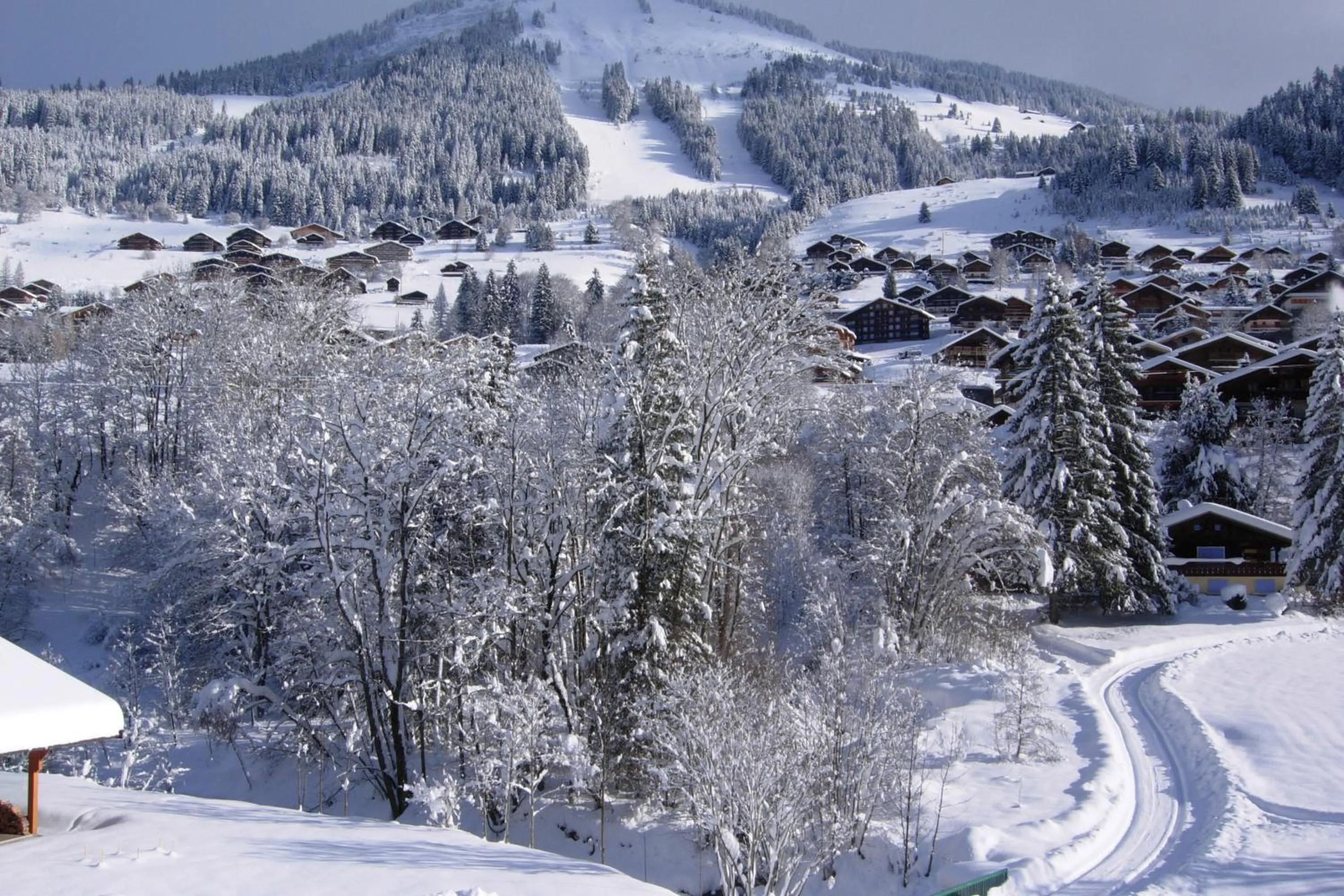 Area and facilities in Au Bois de Lune