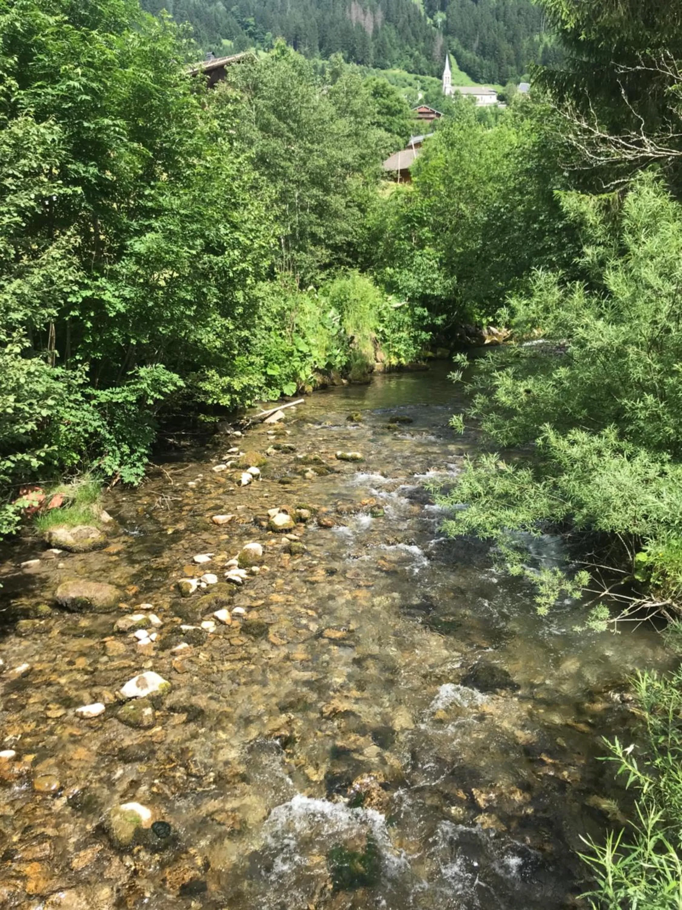River view in Au Bois de Lune
