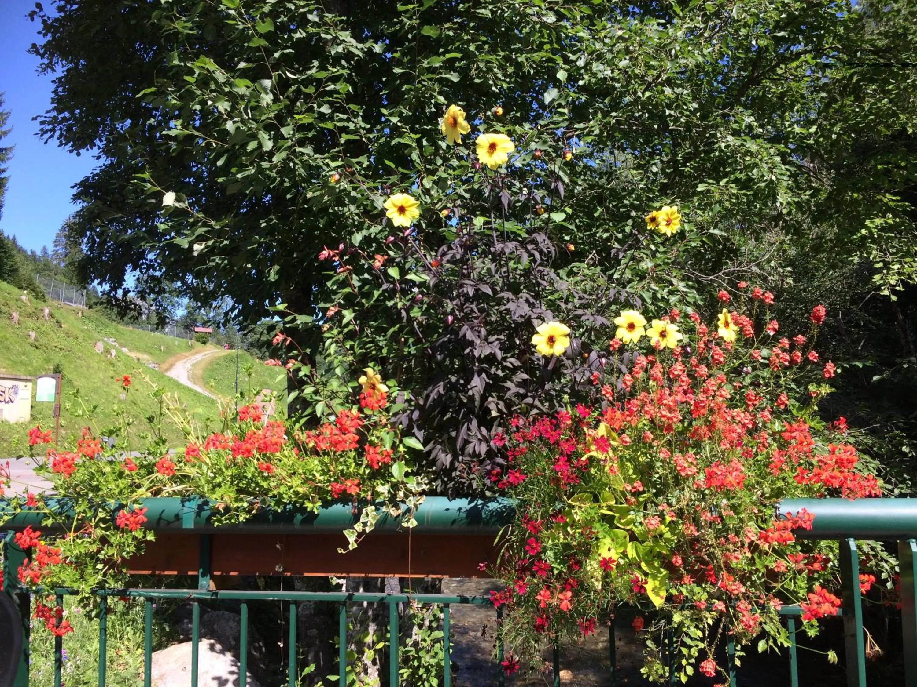 Garden view in Au Bois de Lune