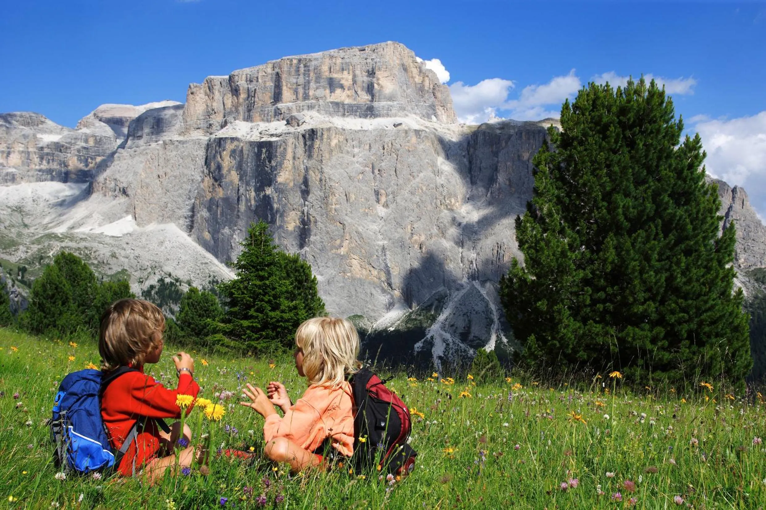 Natural landscape in Hotel Bellevue