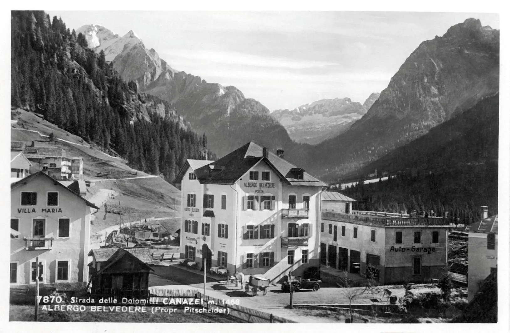 Natural landscape in Hotel Bellevue