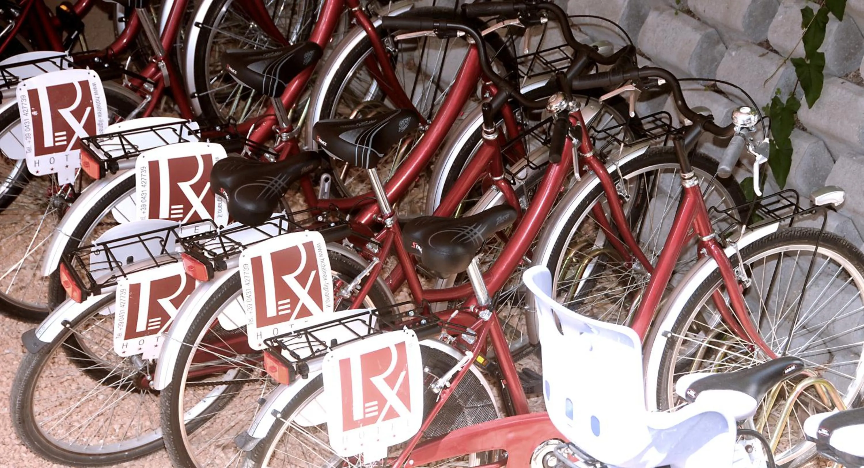 Cycling in Hotel Rex