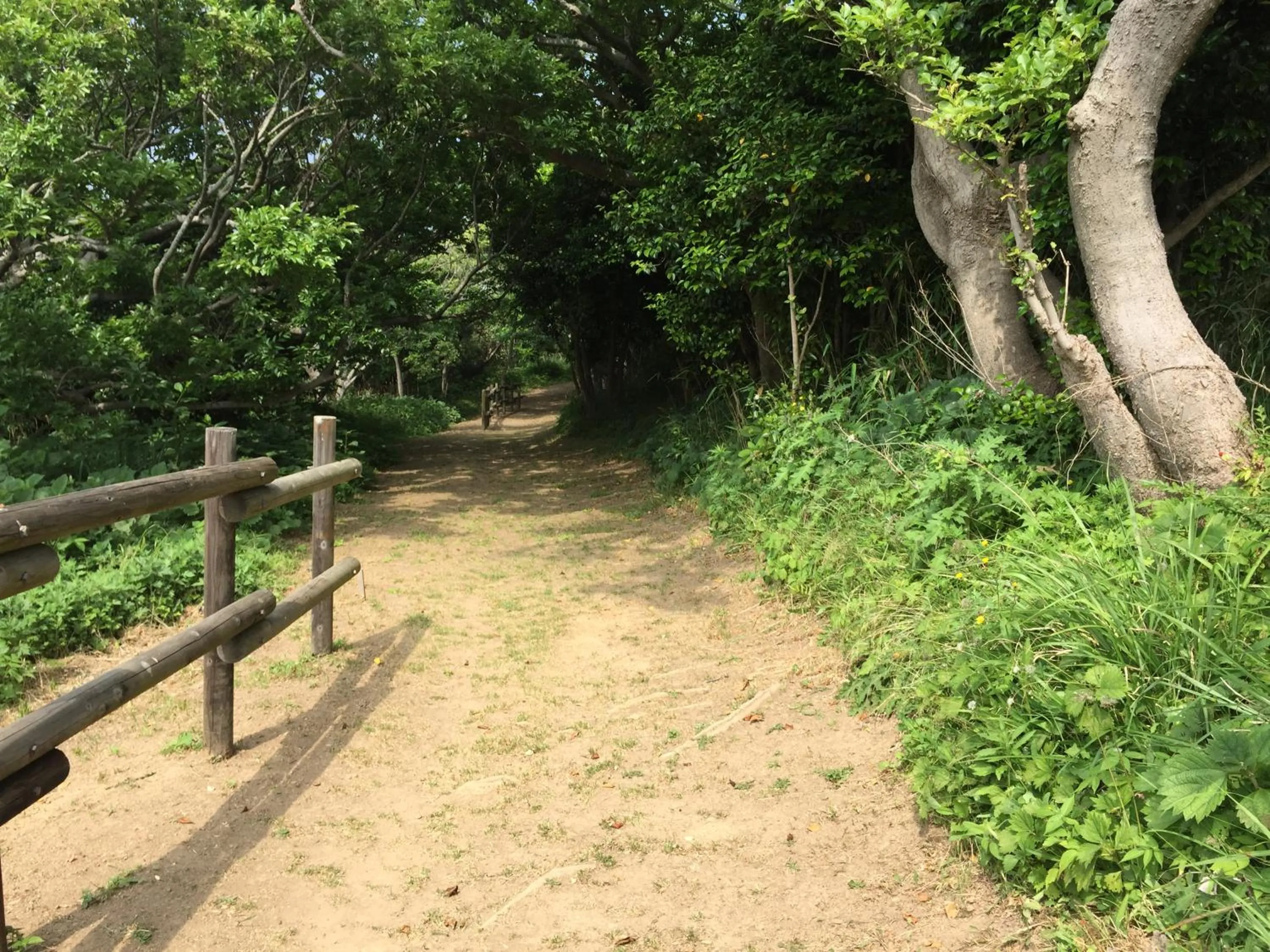 Natural landscape in Tonosaki Bungalow & BBQ