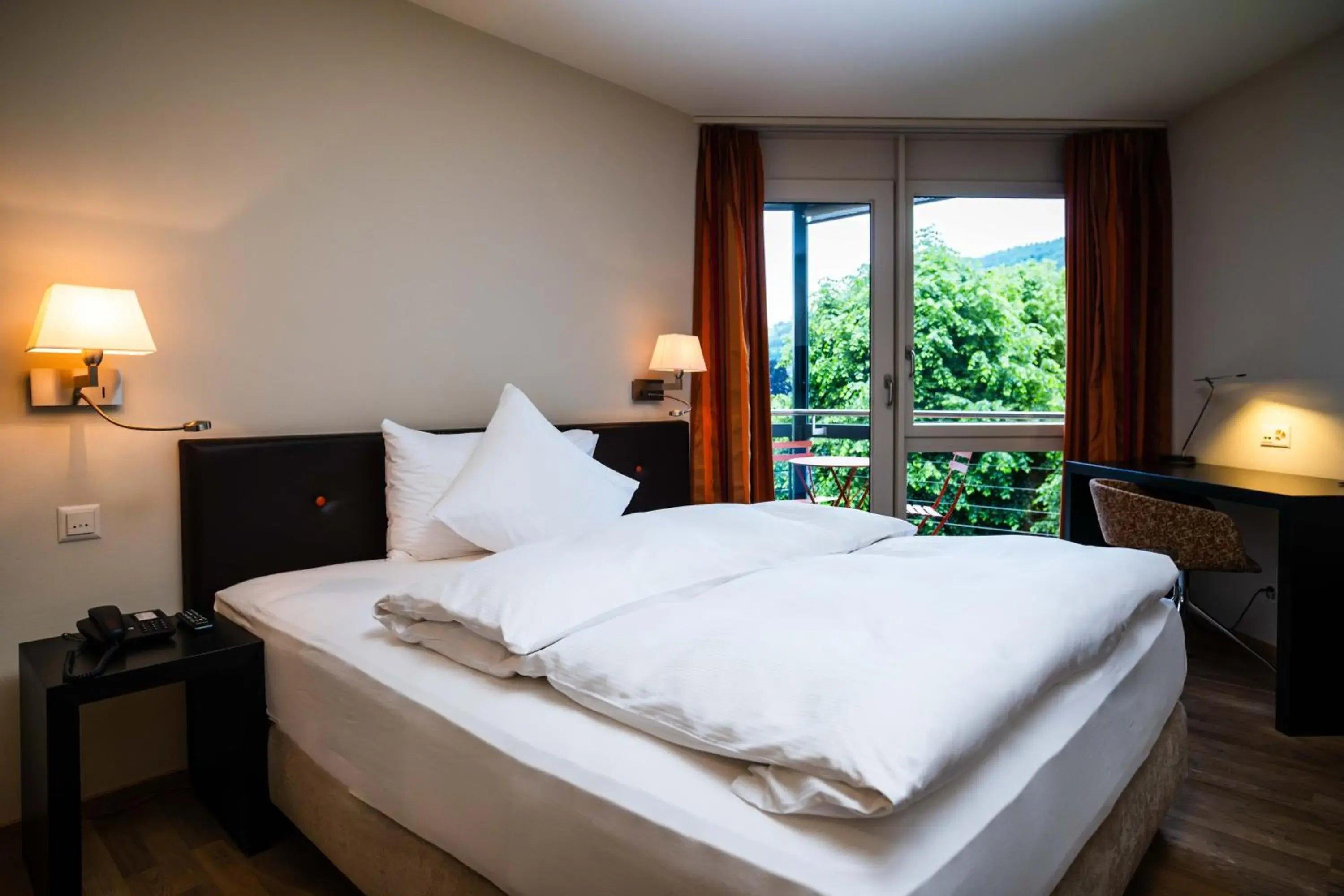 Double Room in Hotel Seepark Thun Double Room in Hotel Seepark Thun