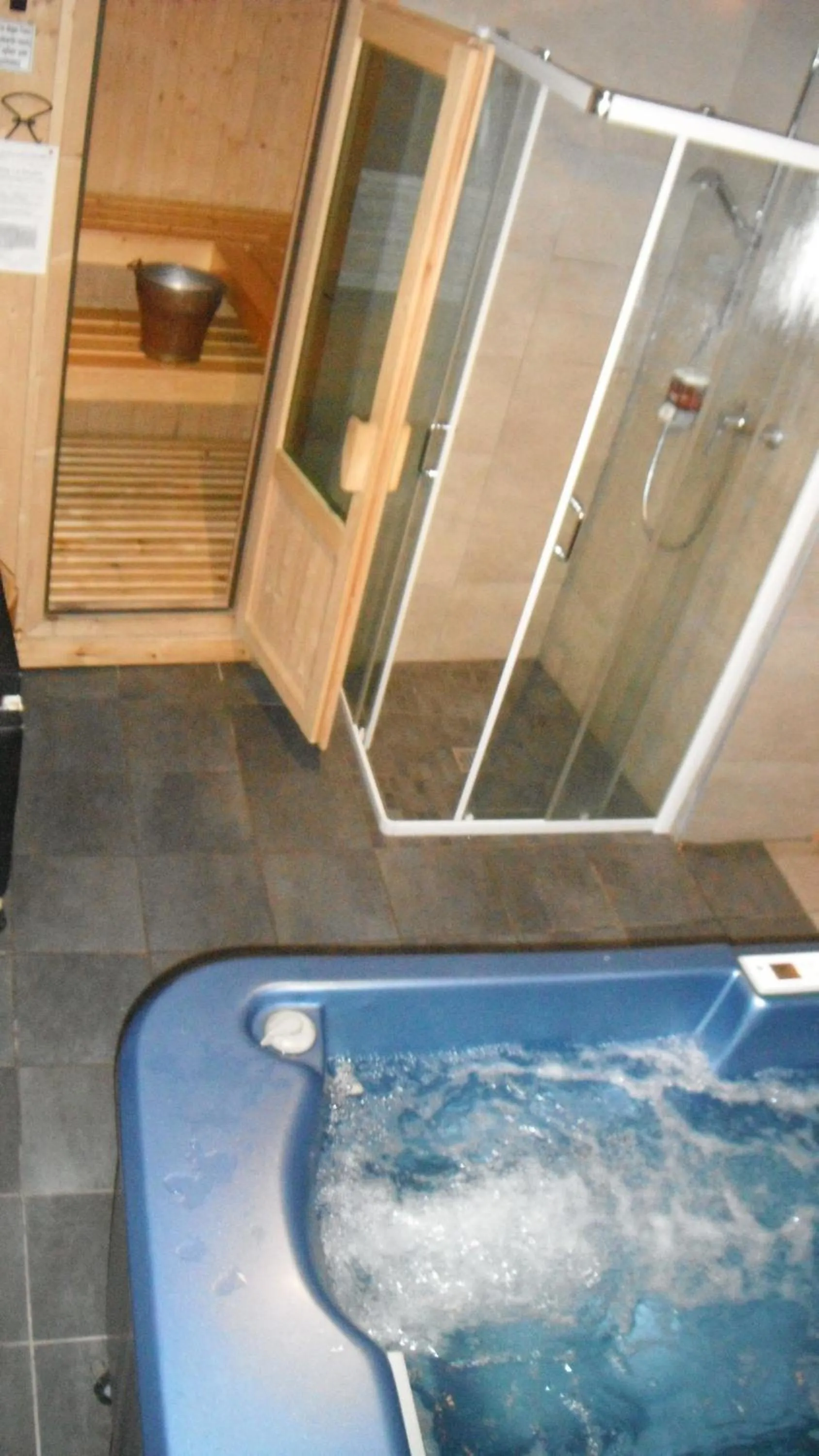 Sauna in Hotel Restaurant La Barme