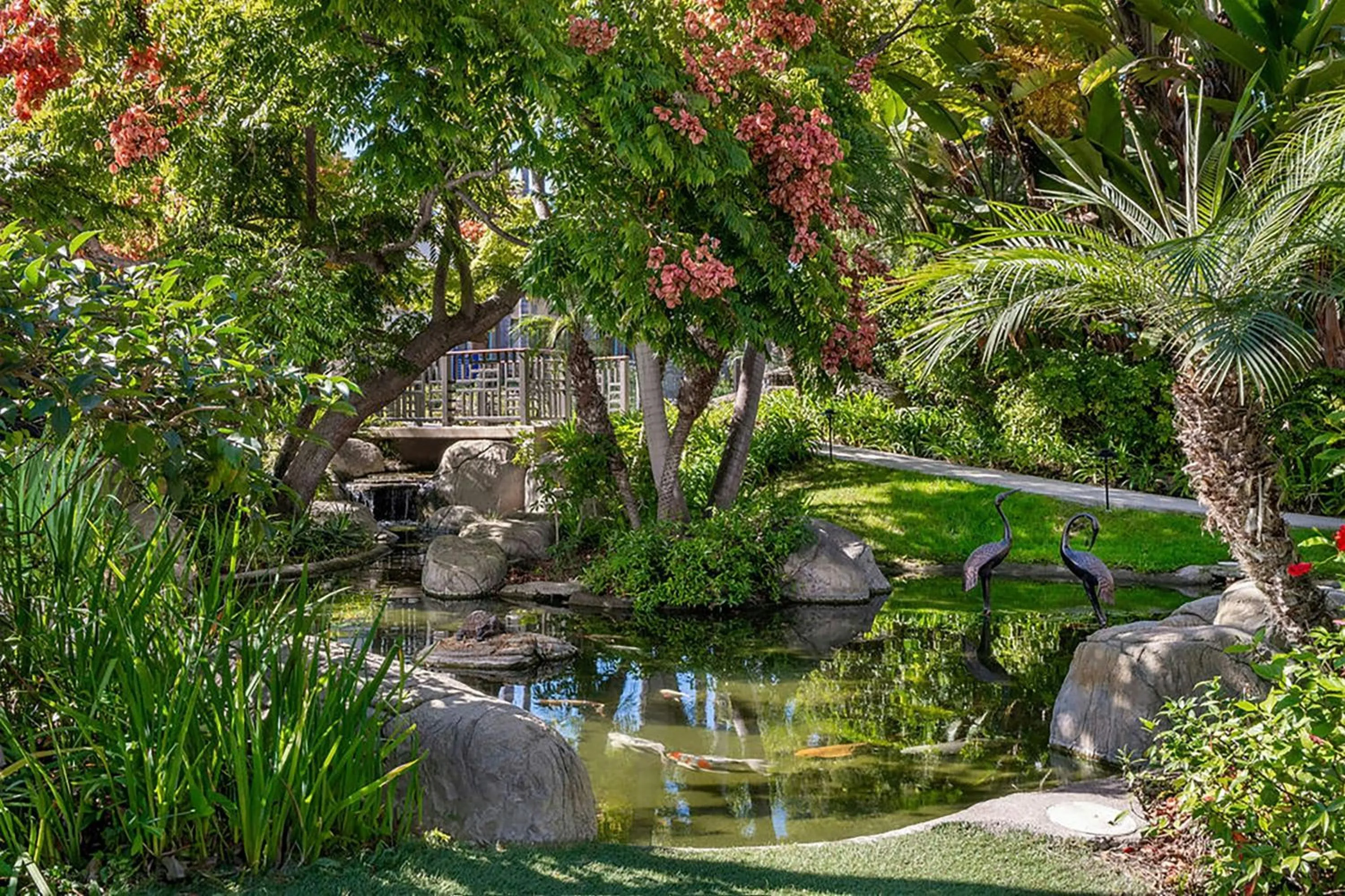 View (from property/room) in Sheraton La Jolla