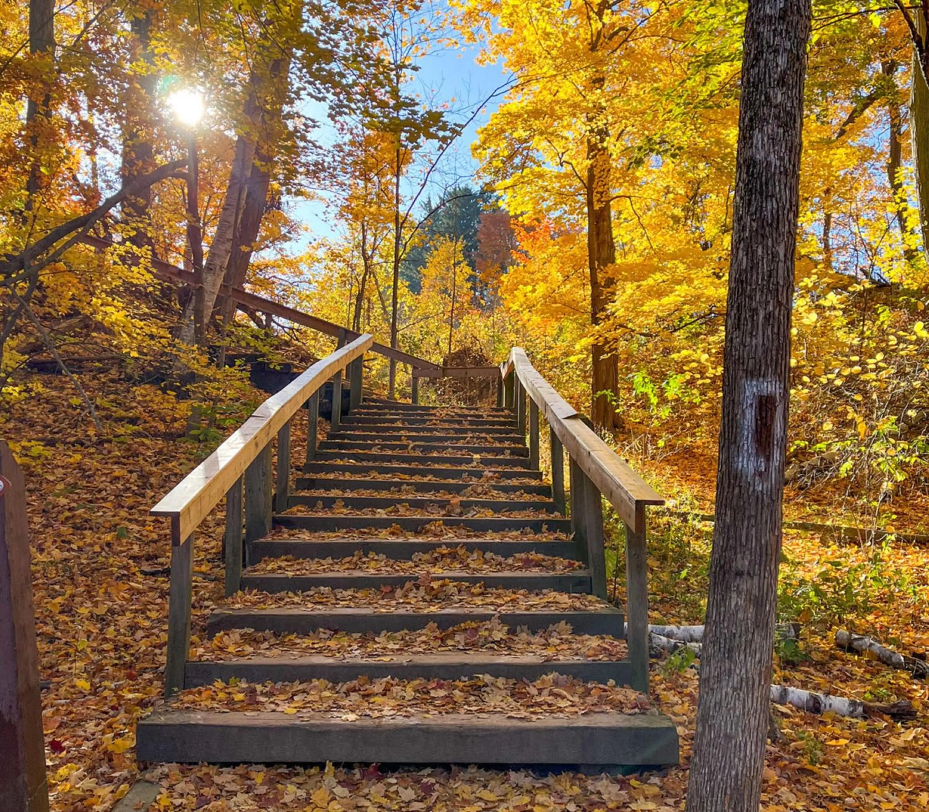 Area and facilities in Staybridge Suites Oakville Burlington by IHG