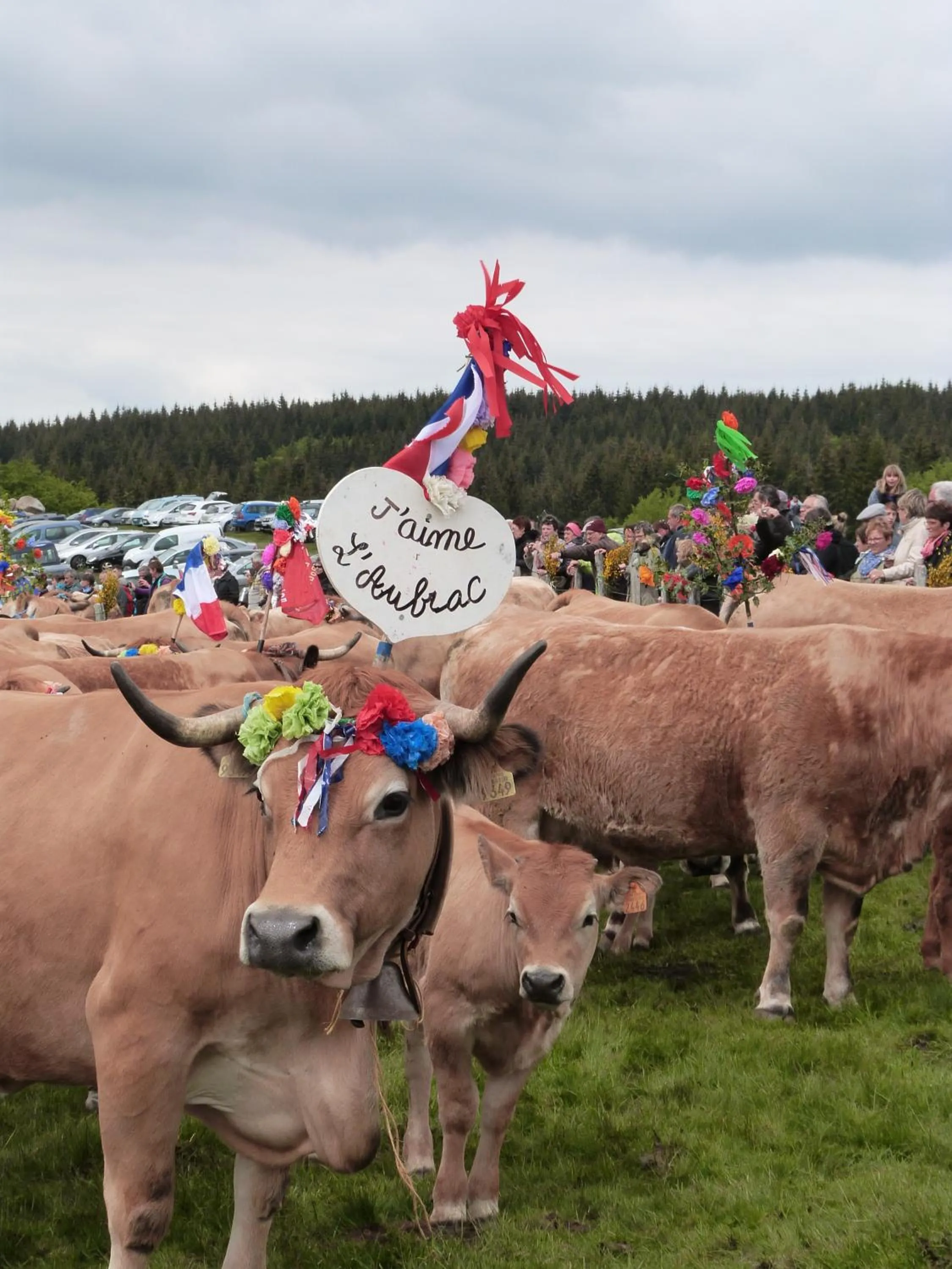 La Reine des prés Chambres d'Hôtes