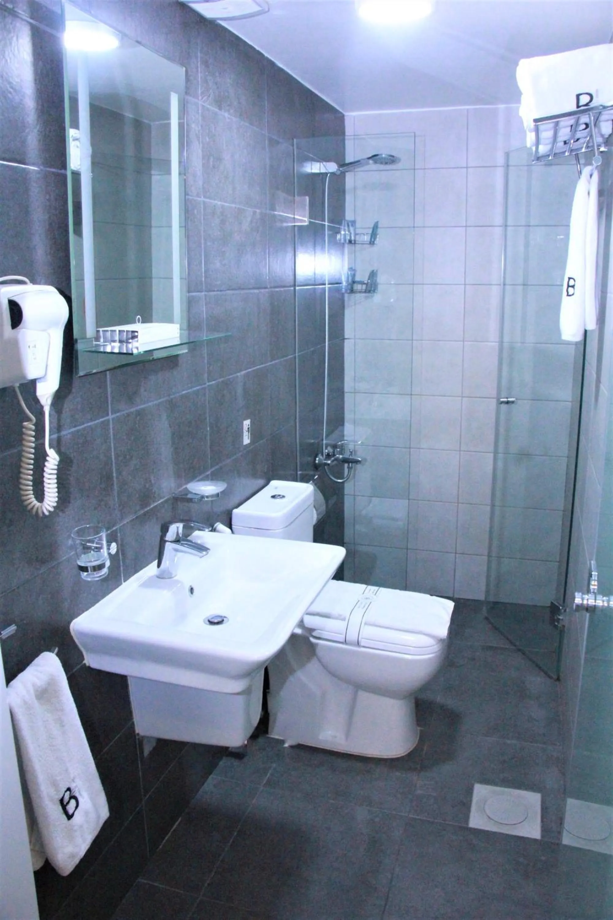 Shower in Beverly Hotel Beirut