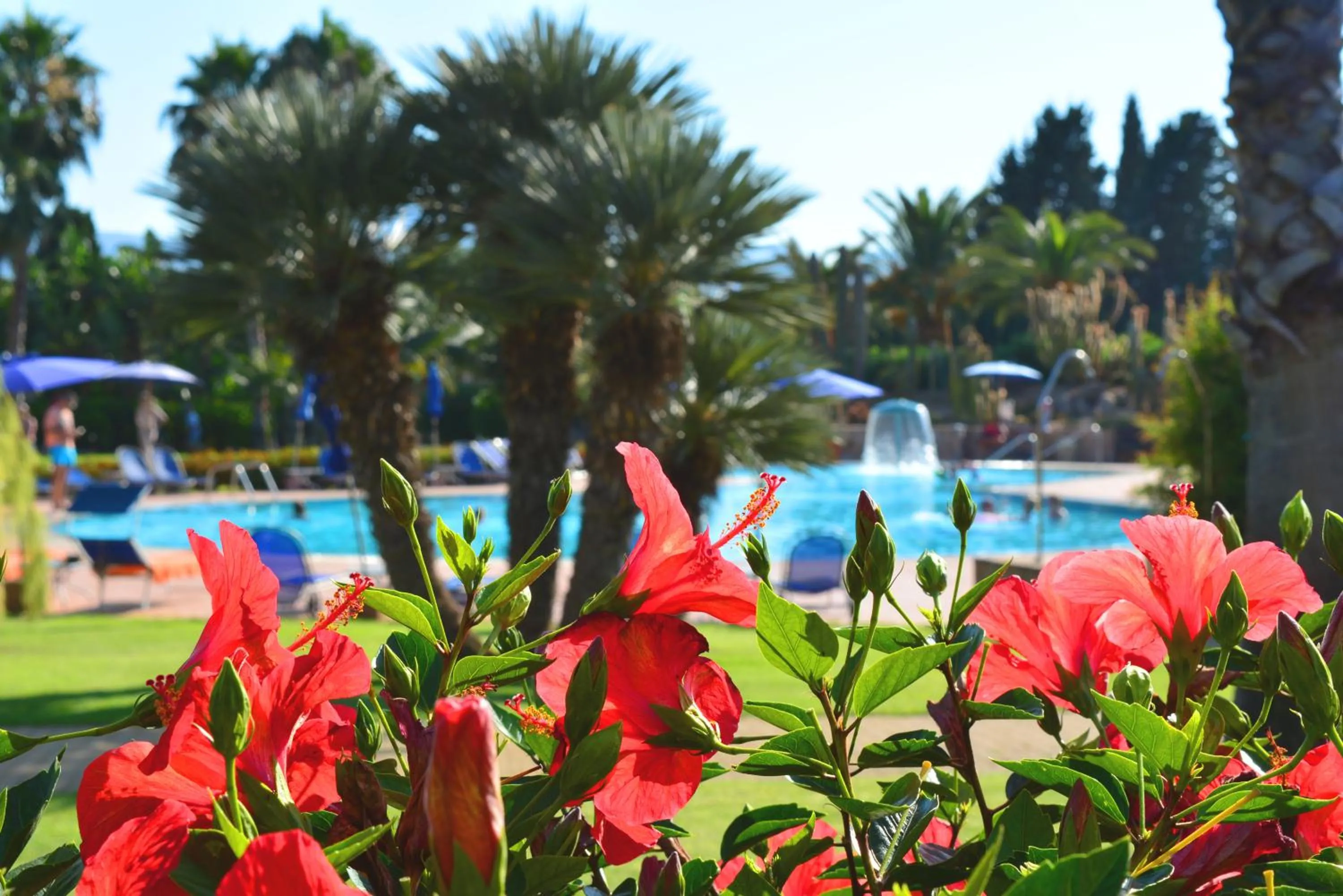 Spring in Lantana Resort Hotel&Apartments