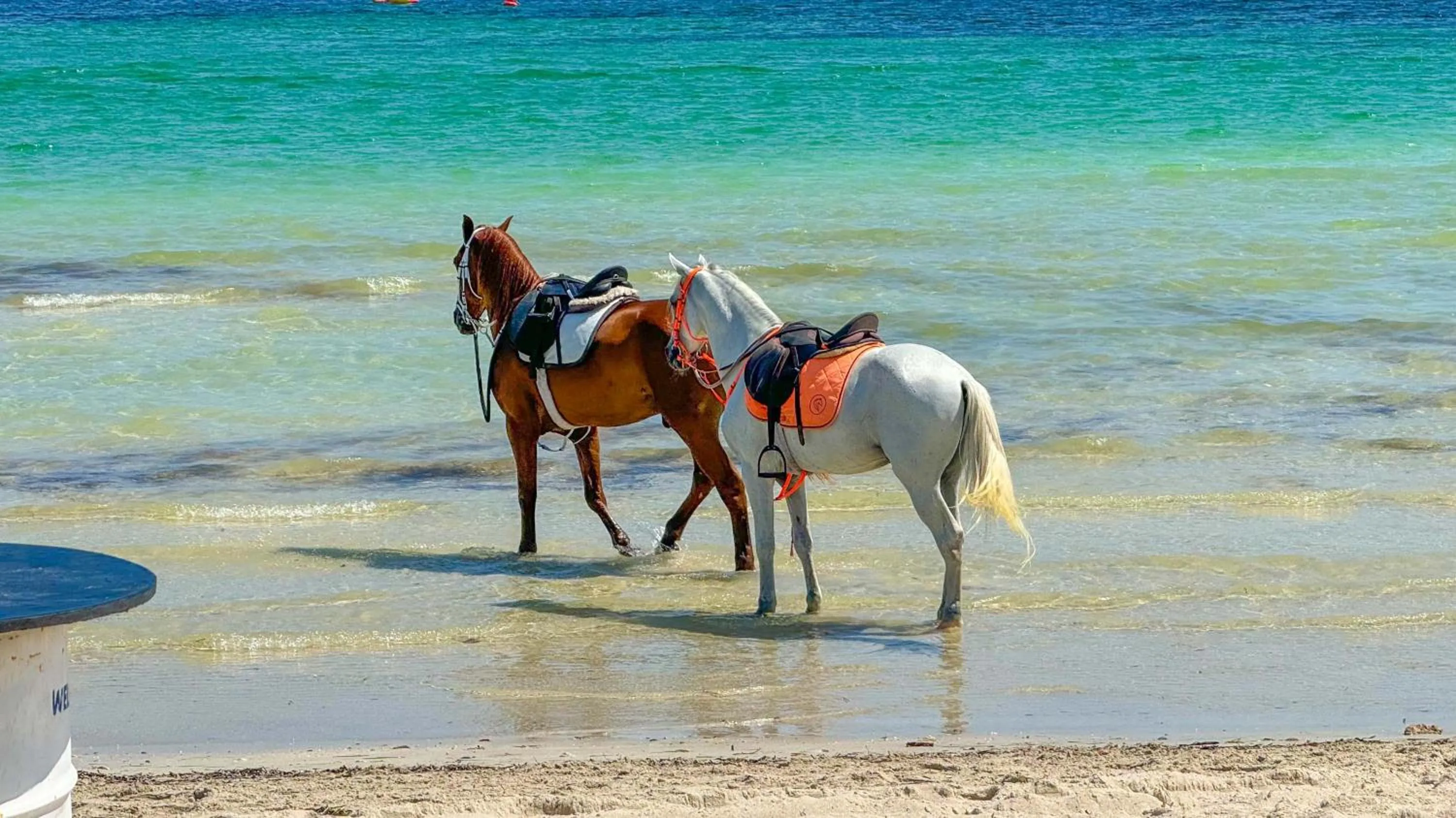 Beach in Hotel de charme et SPA Dar El Bhar