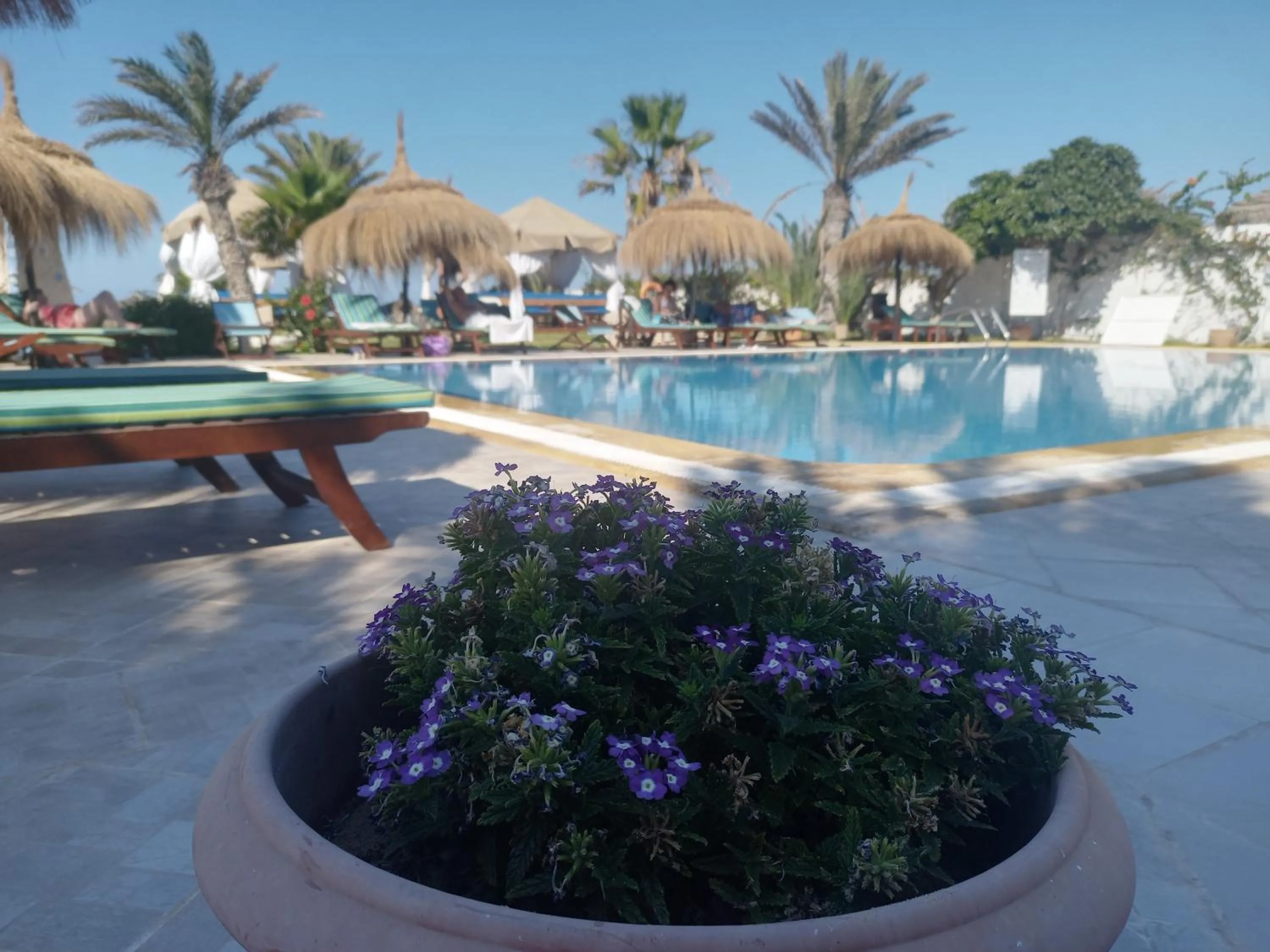 Balcony/Terrace in Hotel de charme et SPA Dar El Bhar