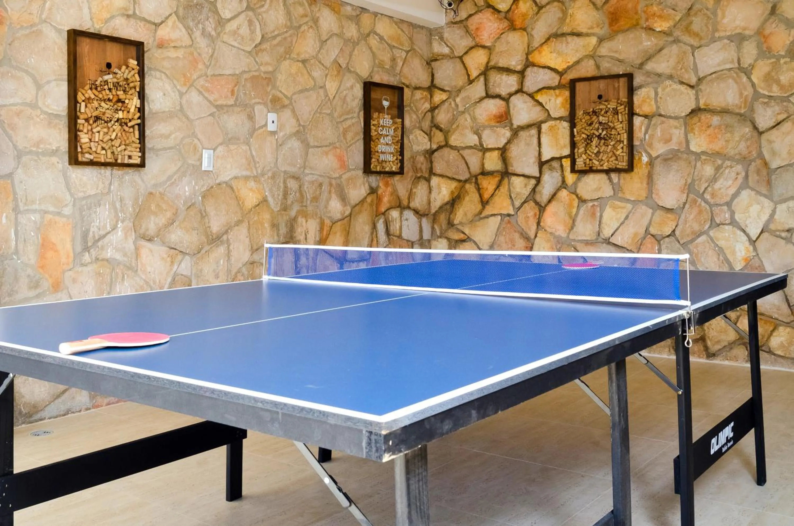 Game Room in Pousada Vie