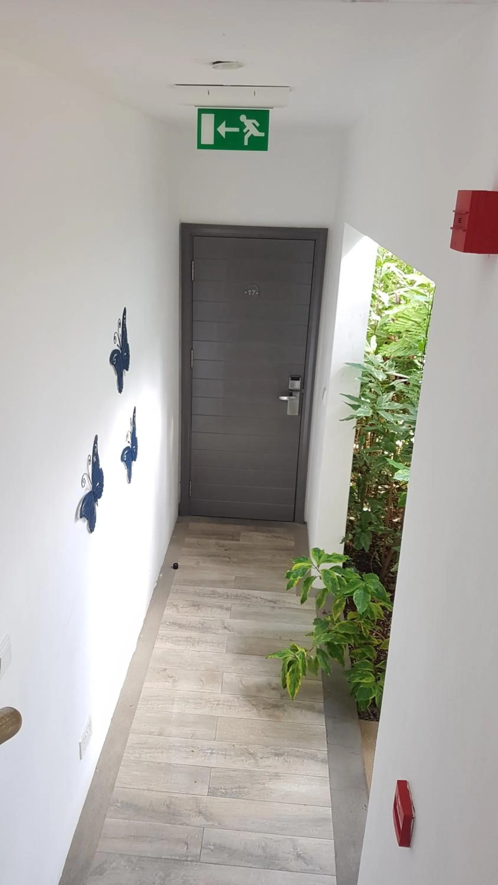 La Mariposa Mauritius