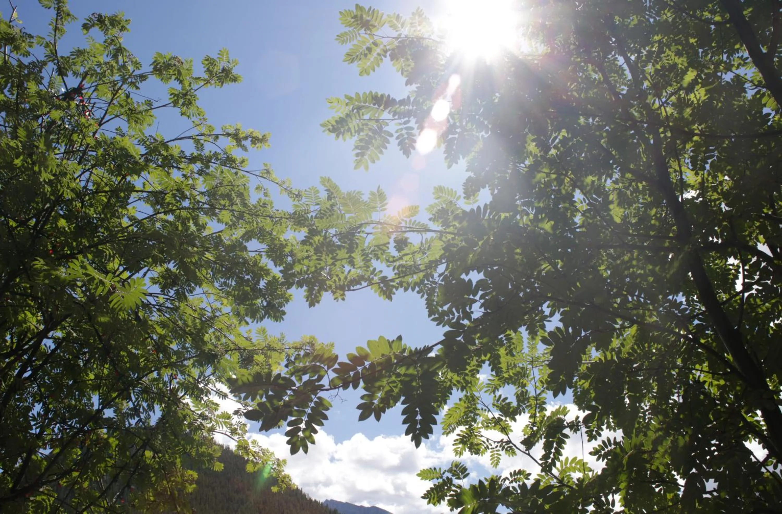 Other in High Country Inn