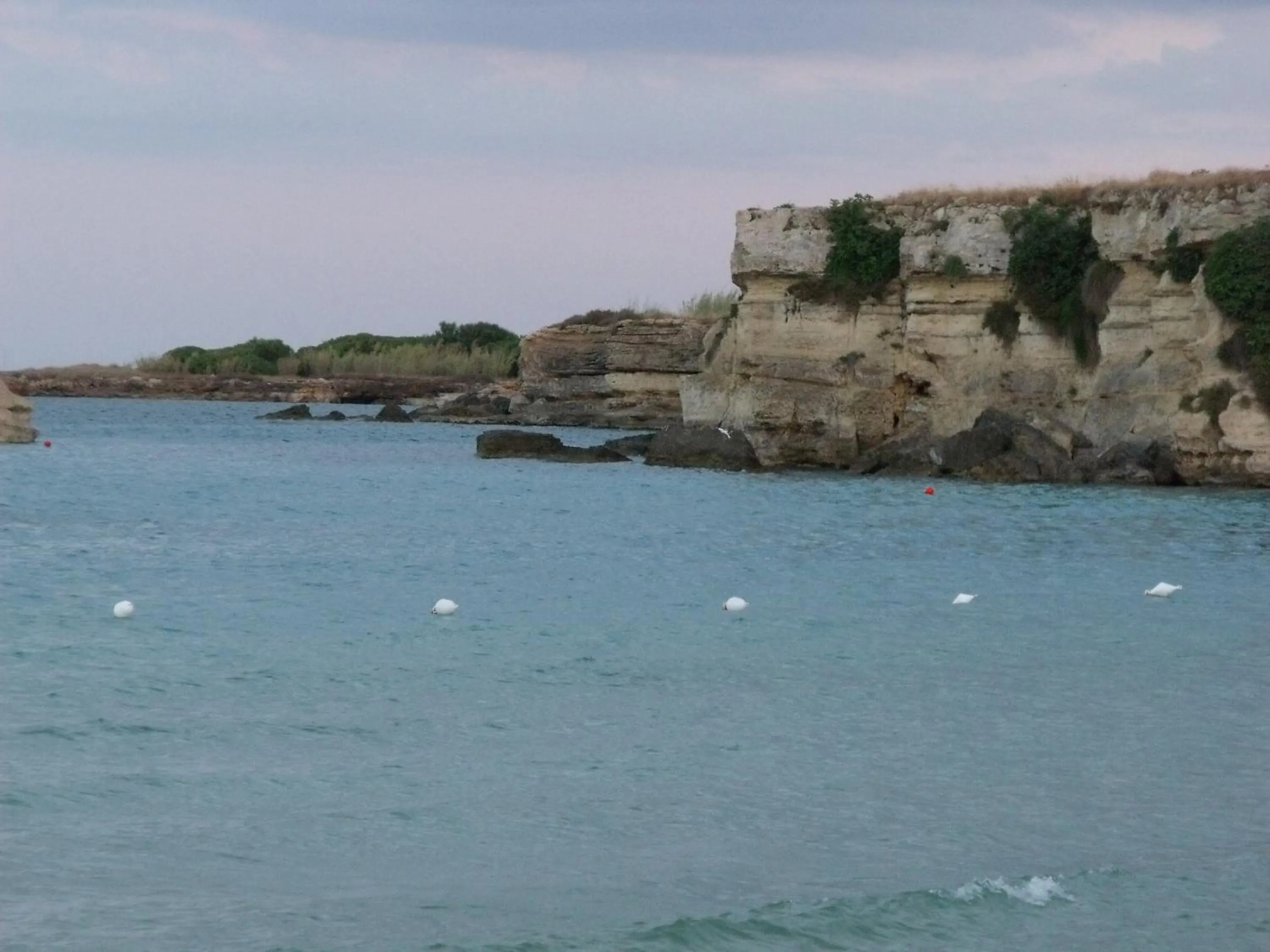 Area and facilities in Hotel Bulla Regia