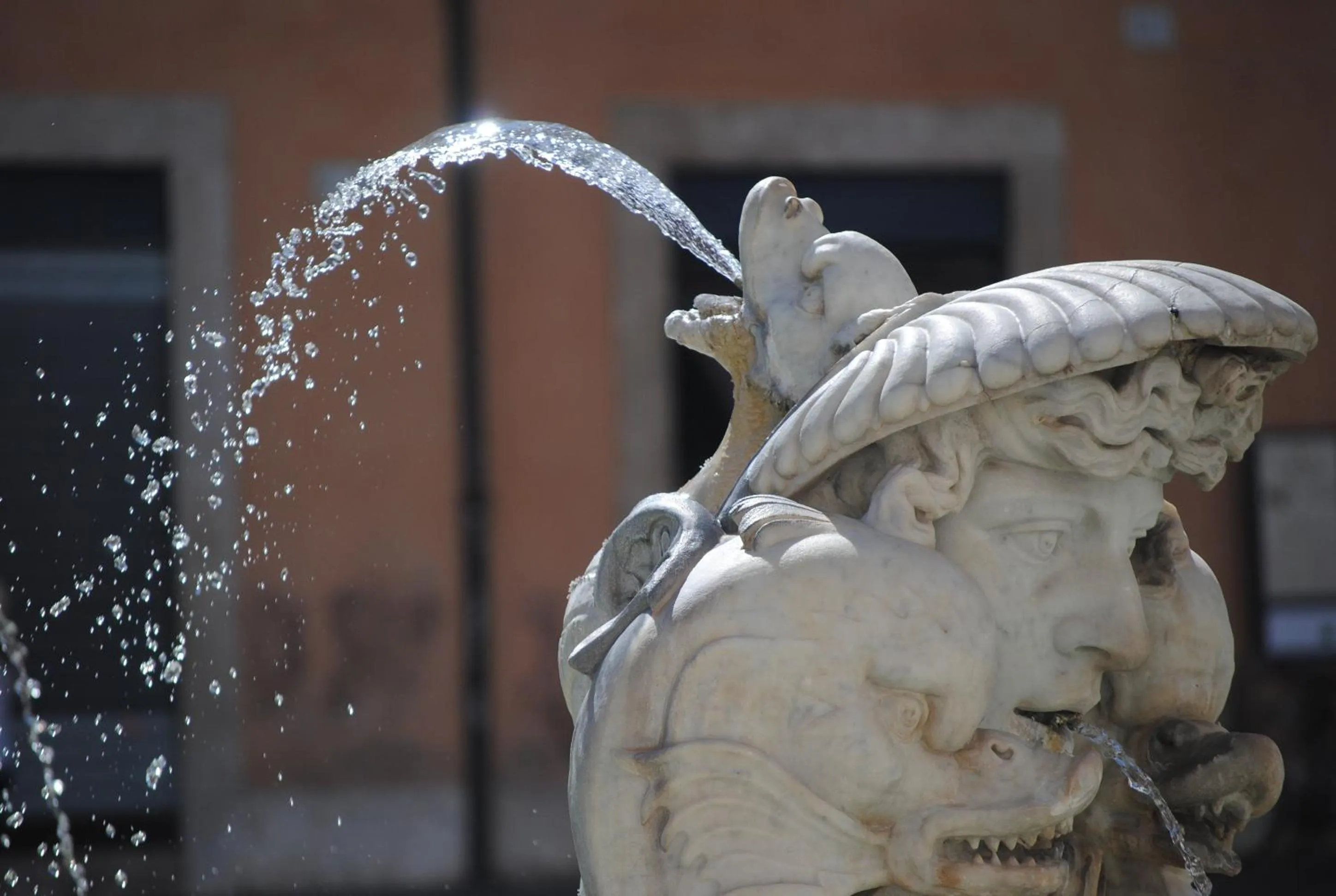 Nearby landmark in Dreaming Navona Rooms