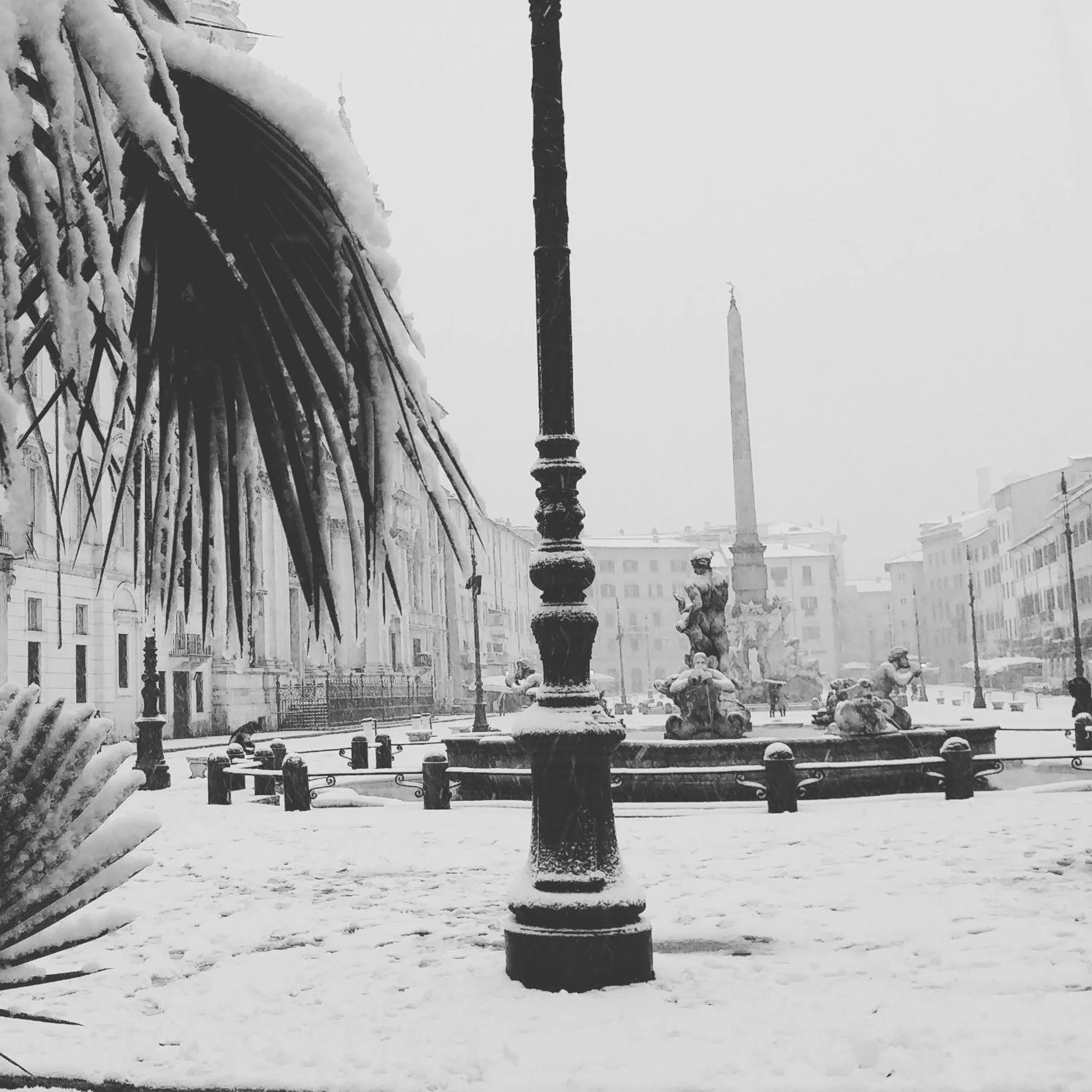 Nearby landmark in Dreaming Navona Rooms