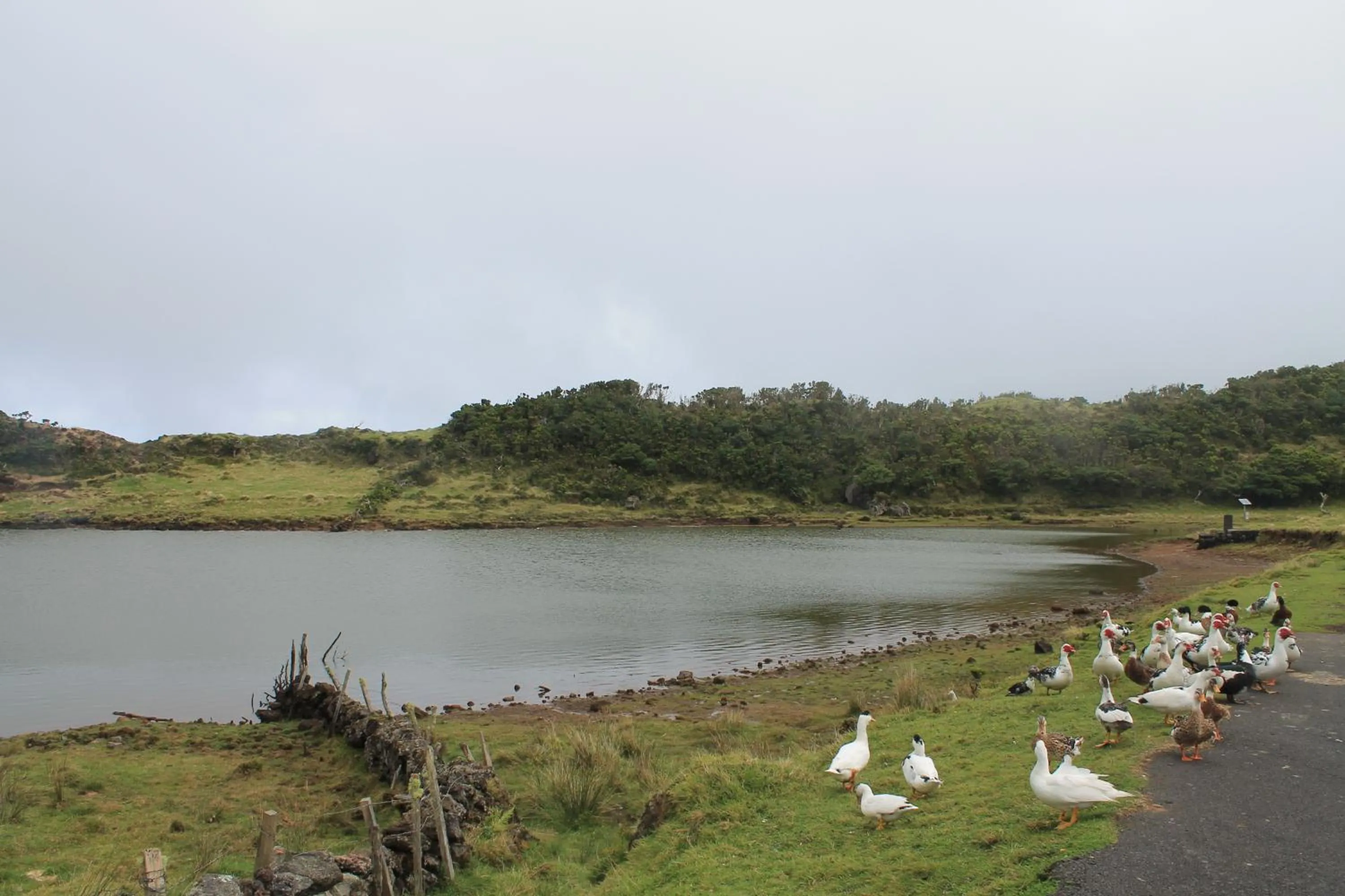 Natural landscape in Vila Barca