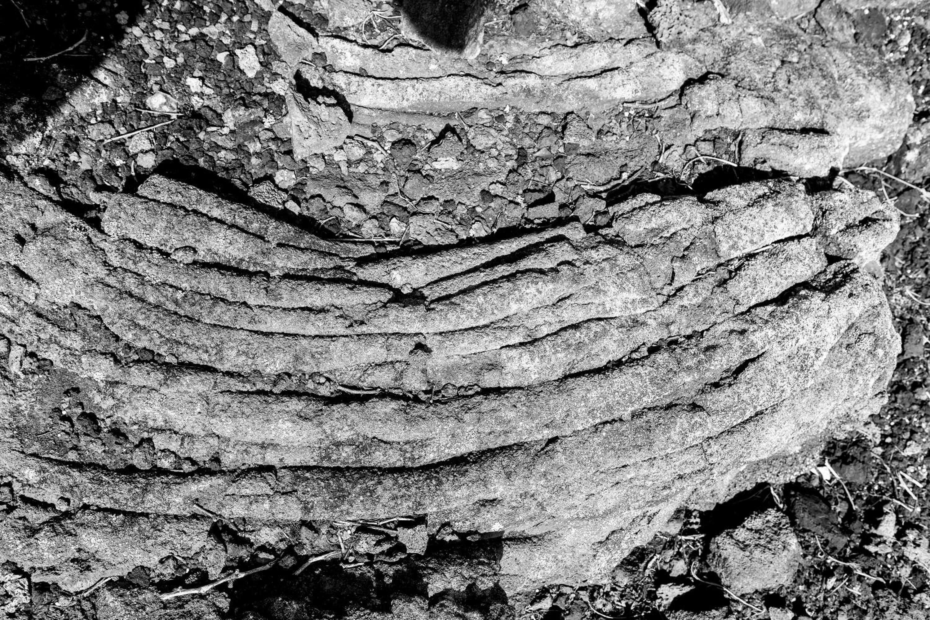 Nearby landmark in Vila Barca