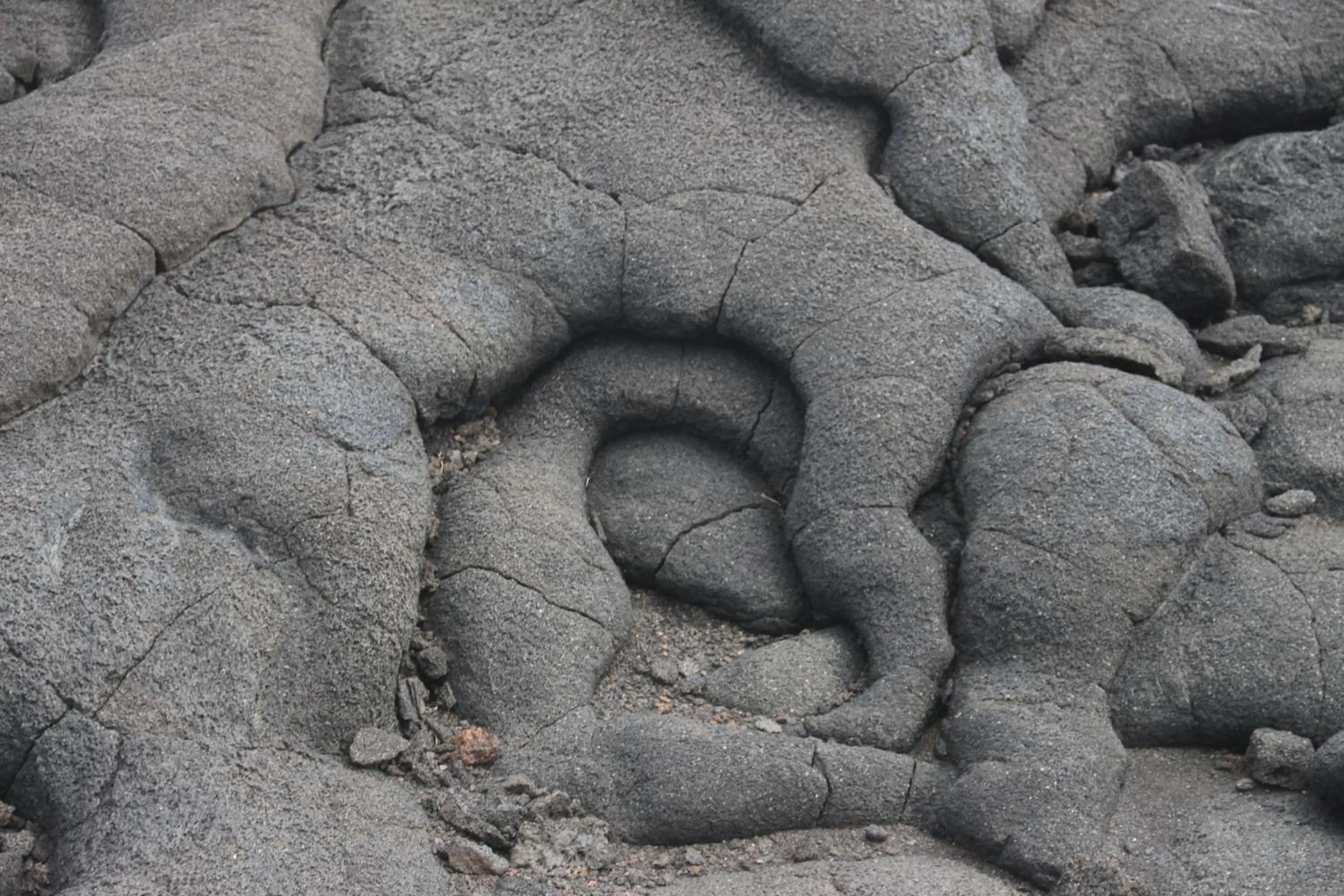 Property building in Vila Barca