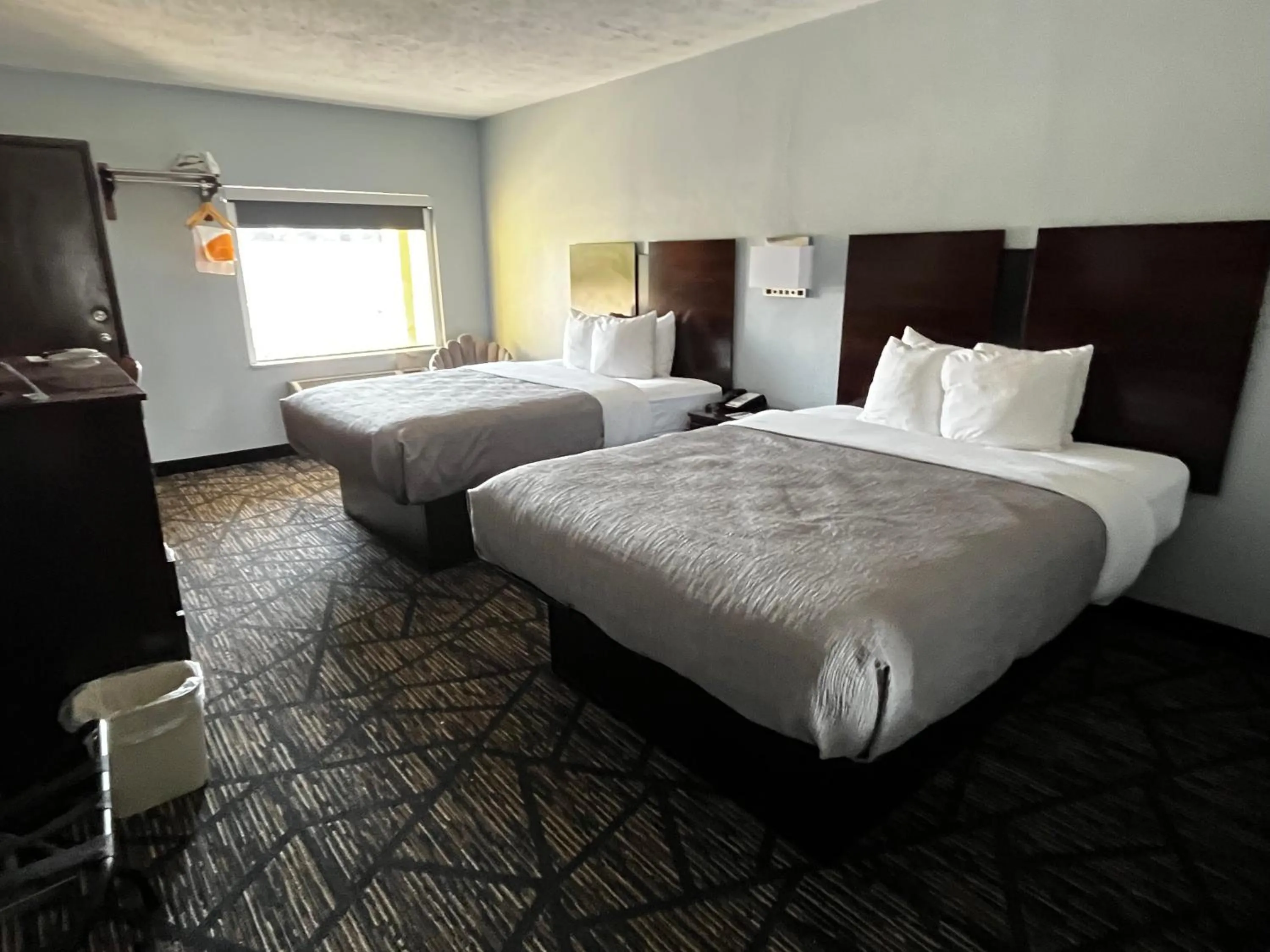 Bed in Quality Inn Grand Rapids Near Downtown