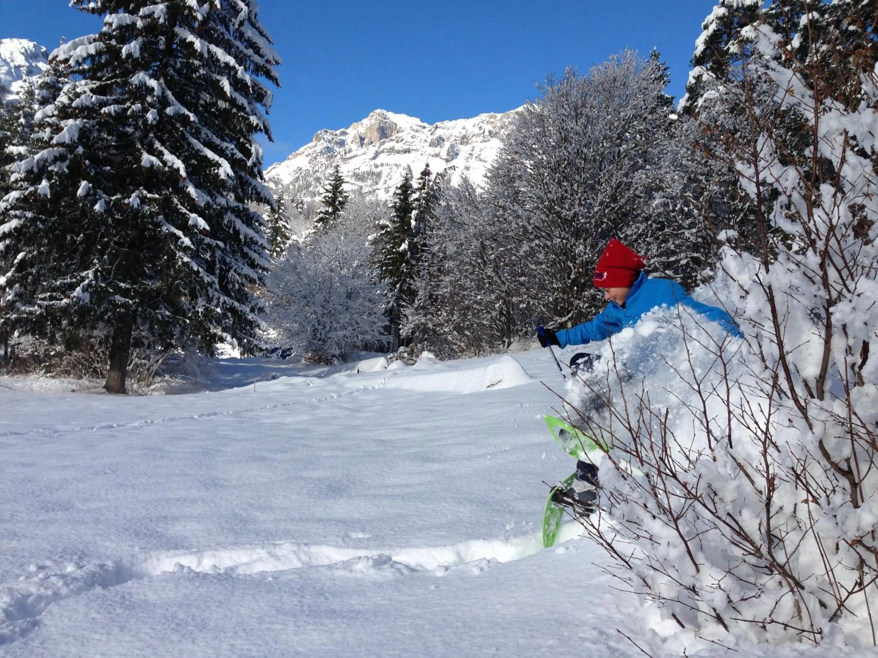 Winter in Alpenresort Belvedere