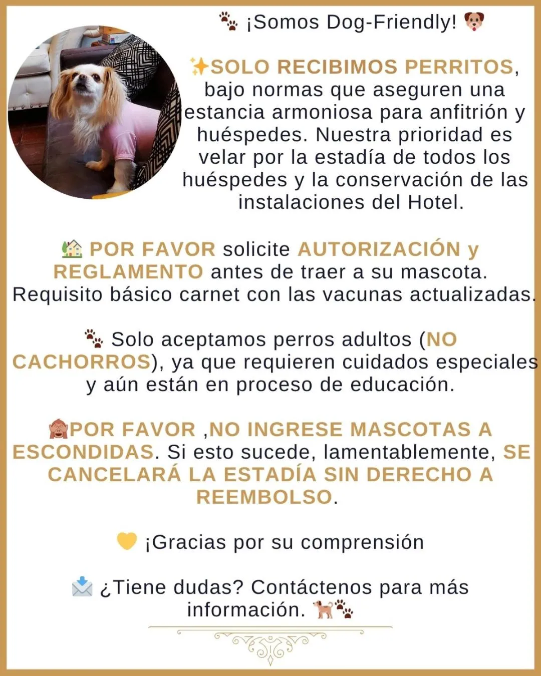 Pets in Hotel La Farola