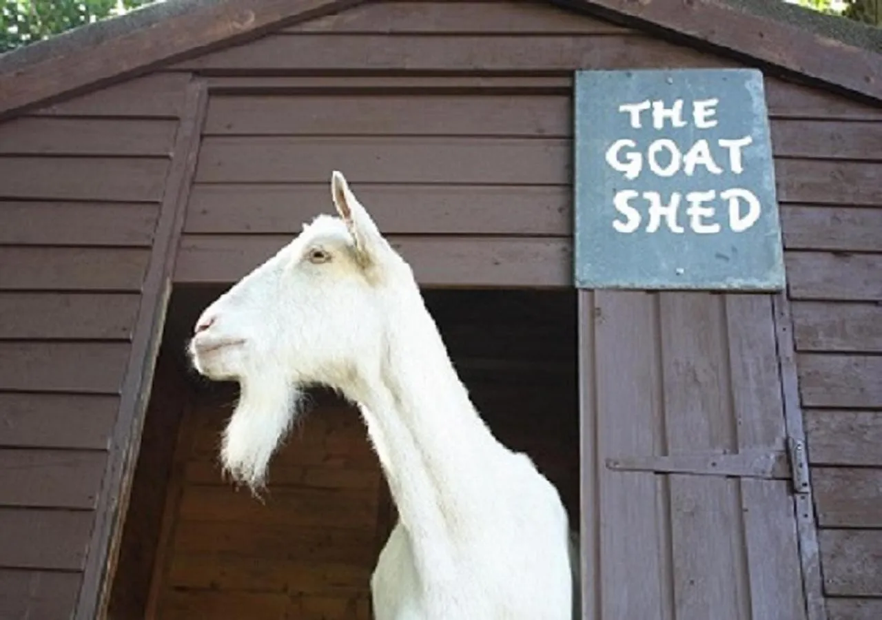 Animals in Bovisand Lodge Holiday Park, Beachside Location & Indoor Heated Pool