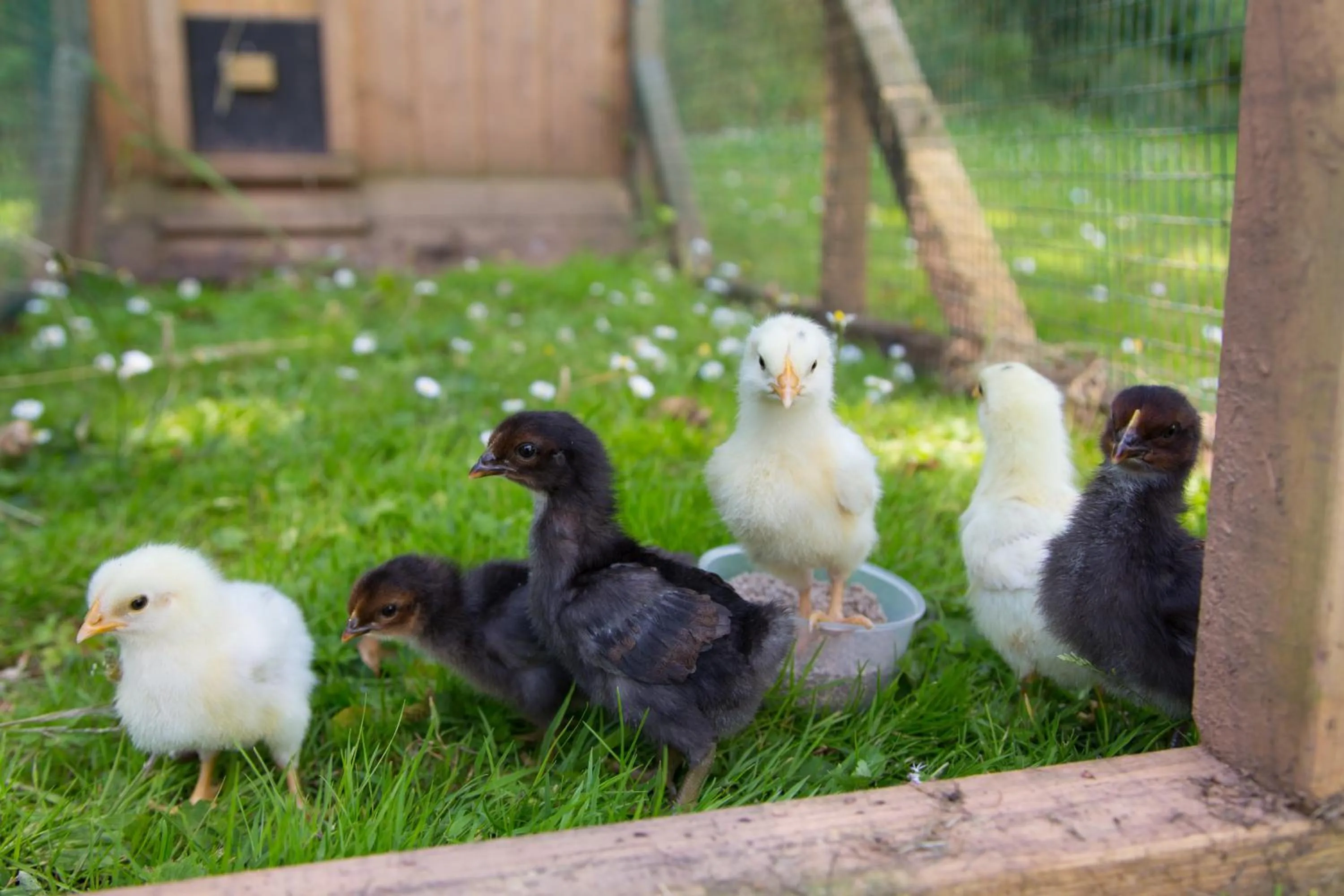 Other in Bovisand Lodge Holiday Park, Beachside Location & Indoor Heated Pool