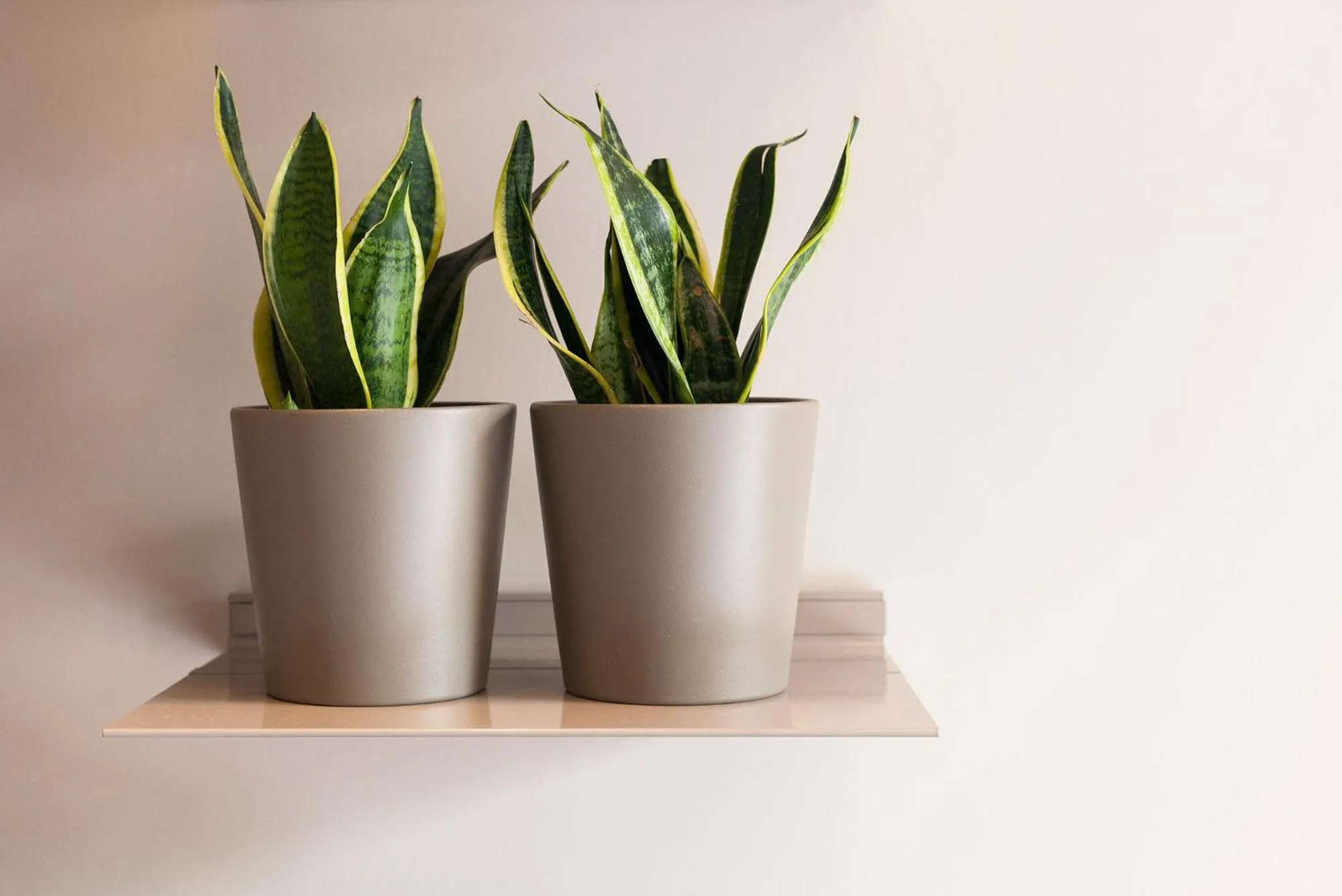 Decorative detail in DestinationBCN - Universitat Rooms