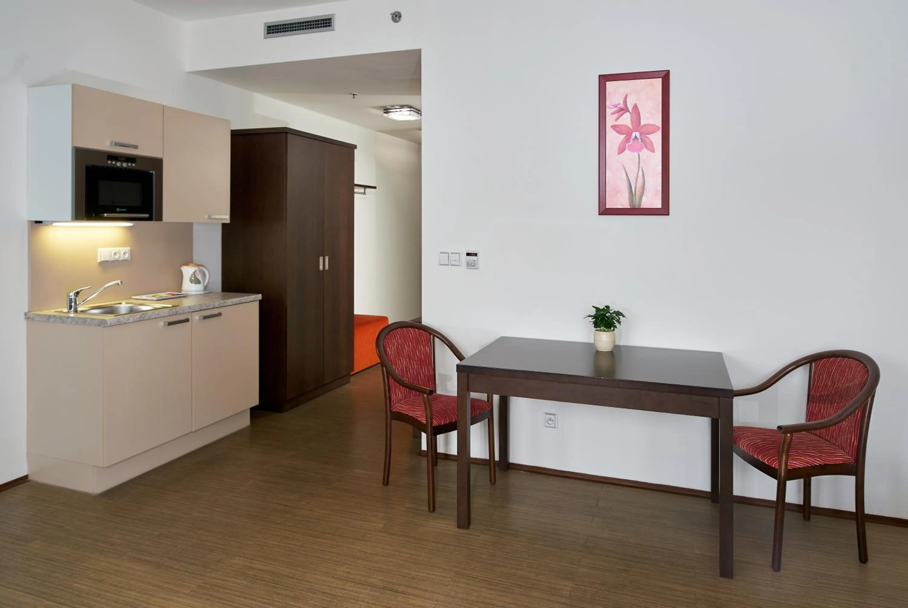 Kitchen or kitchenette in Hotel Ankora