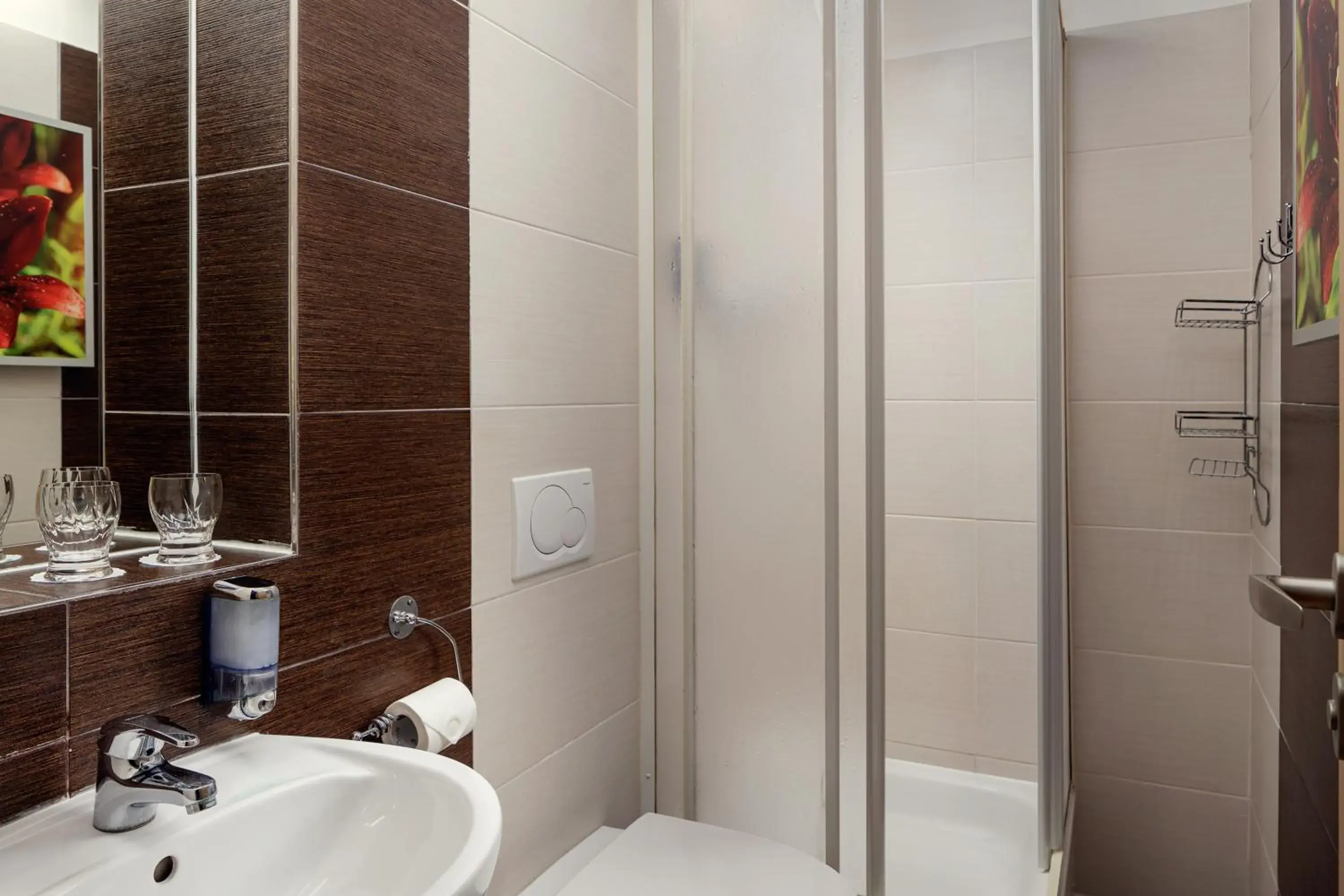 Single Room in Hotel Ankora Single Room in Hotel Ankora