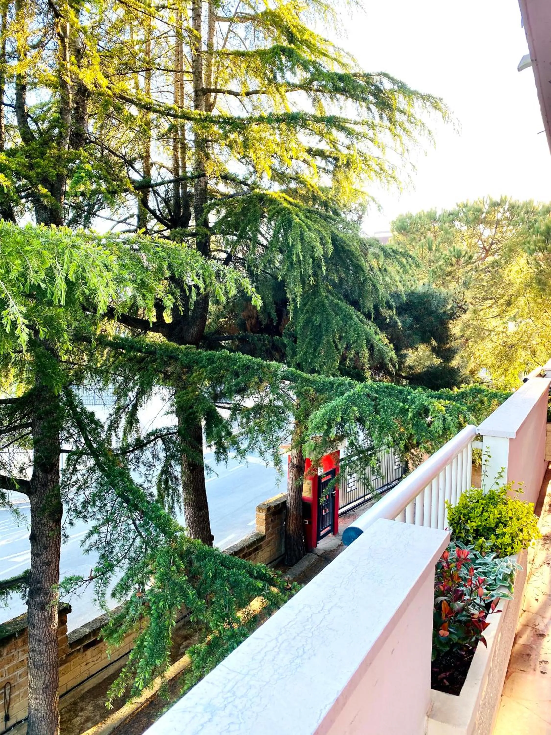 Balcony/Terrace in Villa Francesca