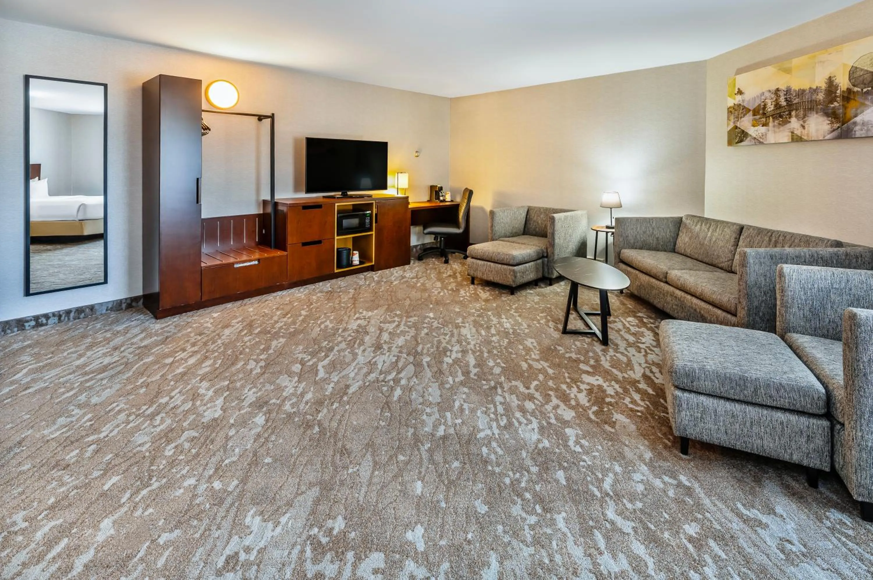 TV and multimedia in Comfort Inn