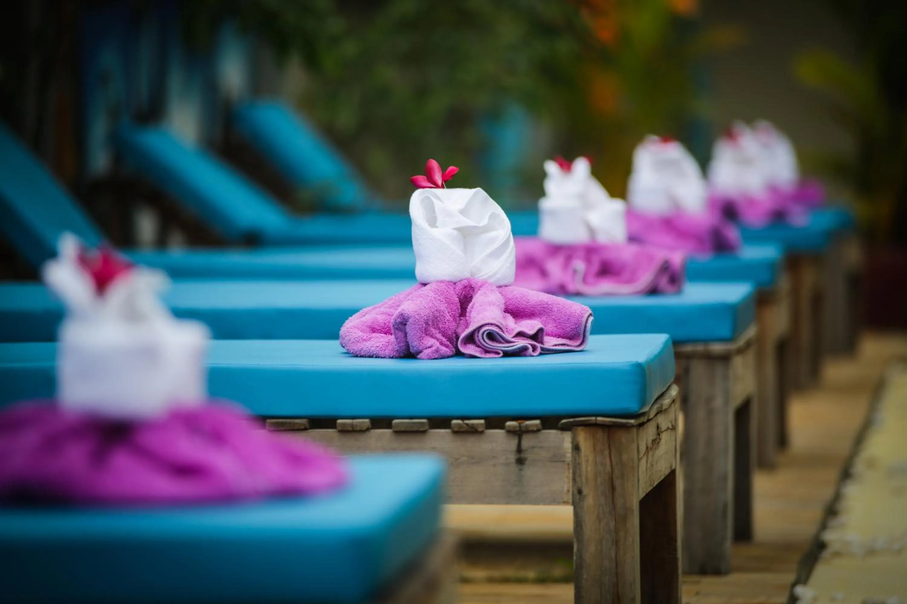 Swimming pool in Blue Diamond Hostel