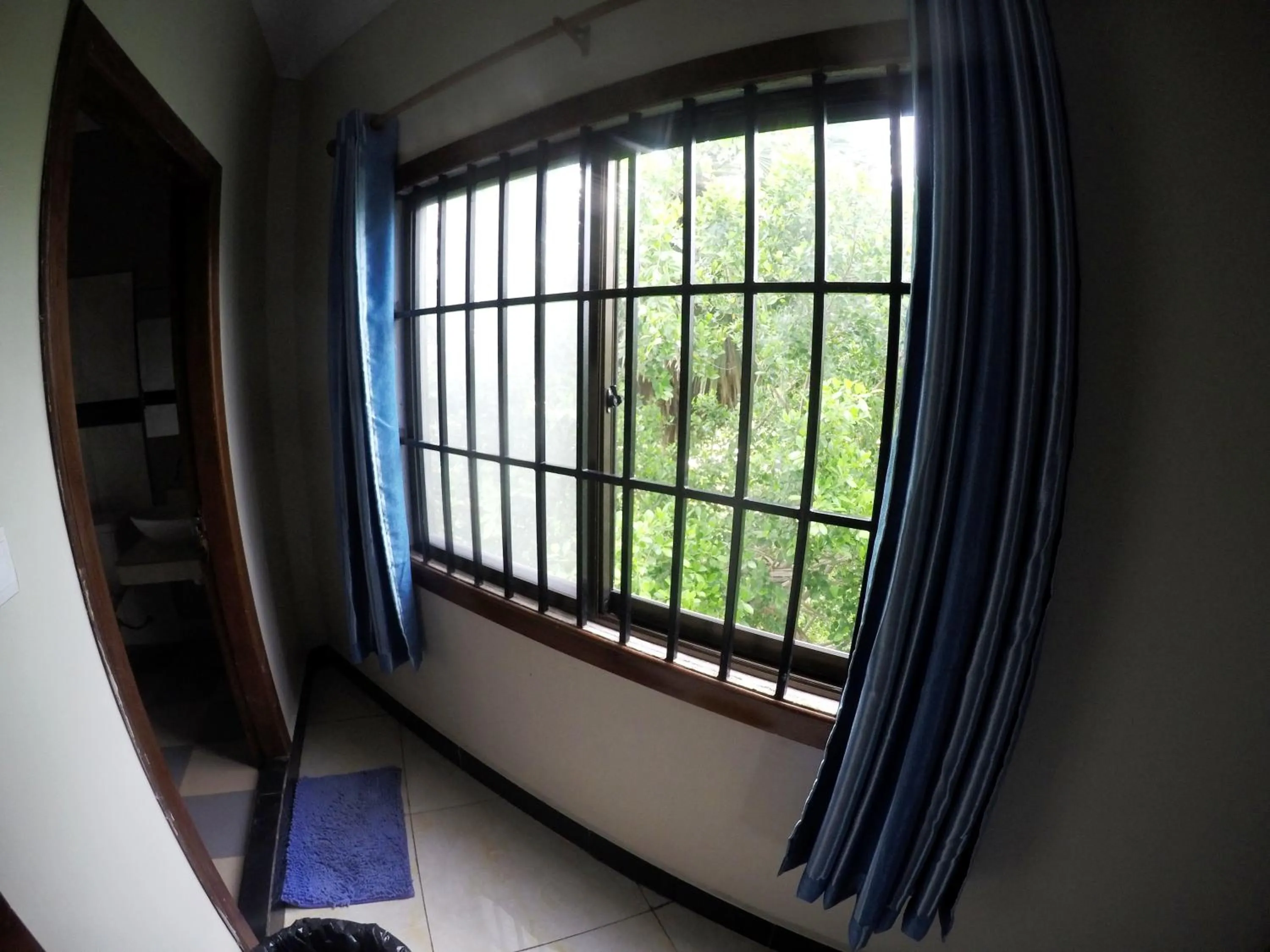 Garden view in Blue Diamond Hostel