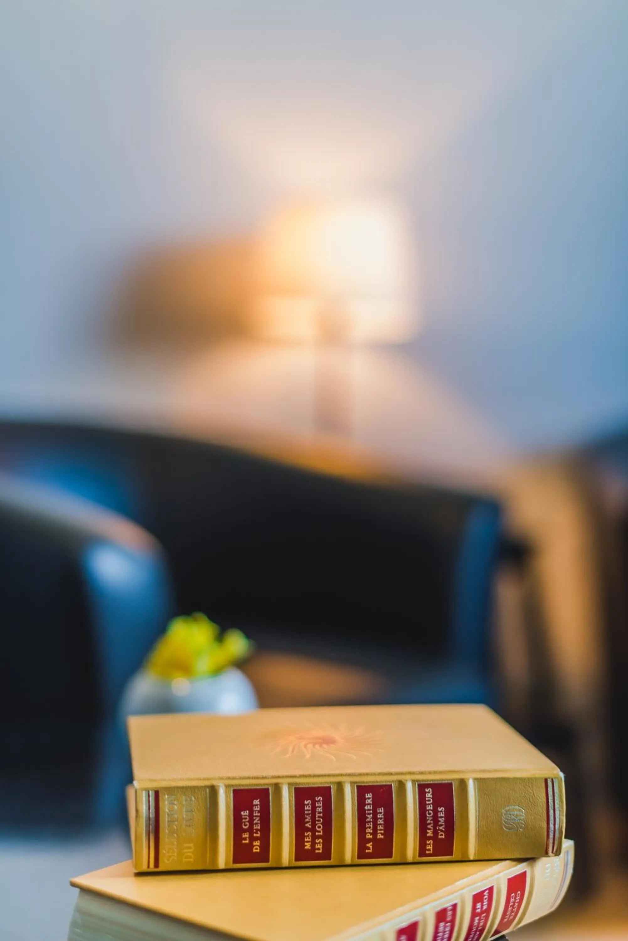 Decorative detail in Logis Hôtel Restaurant Le Plantevin