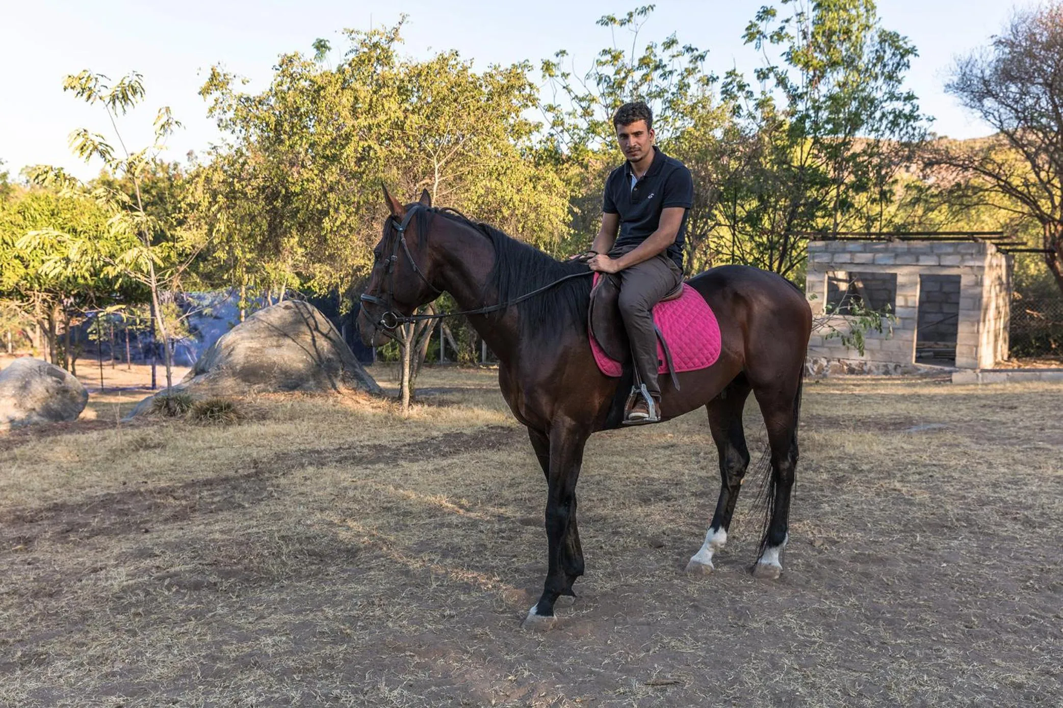 Animals in Wag Hill Lodge & Spa