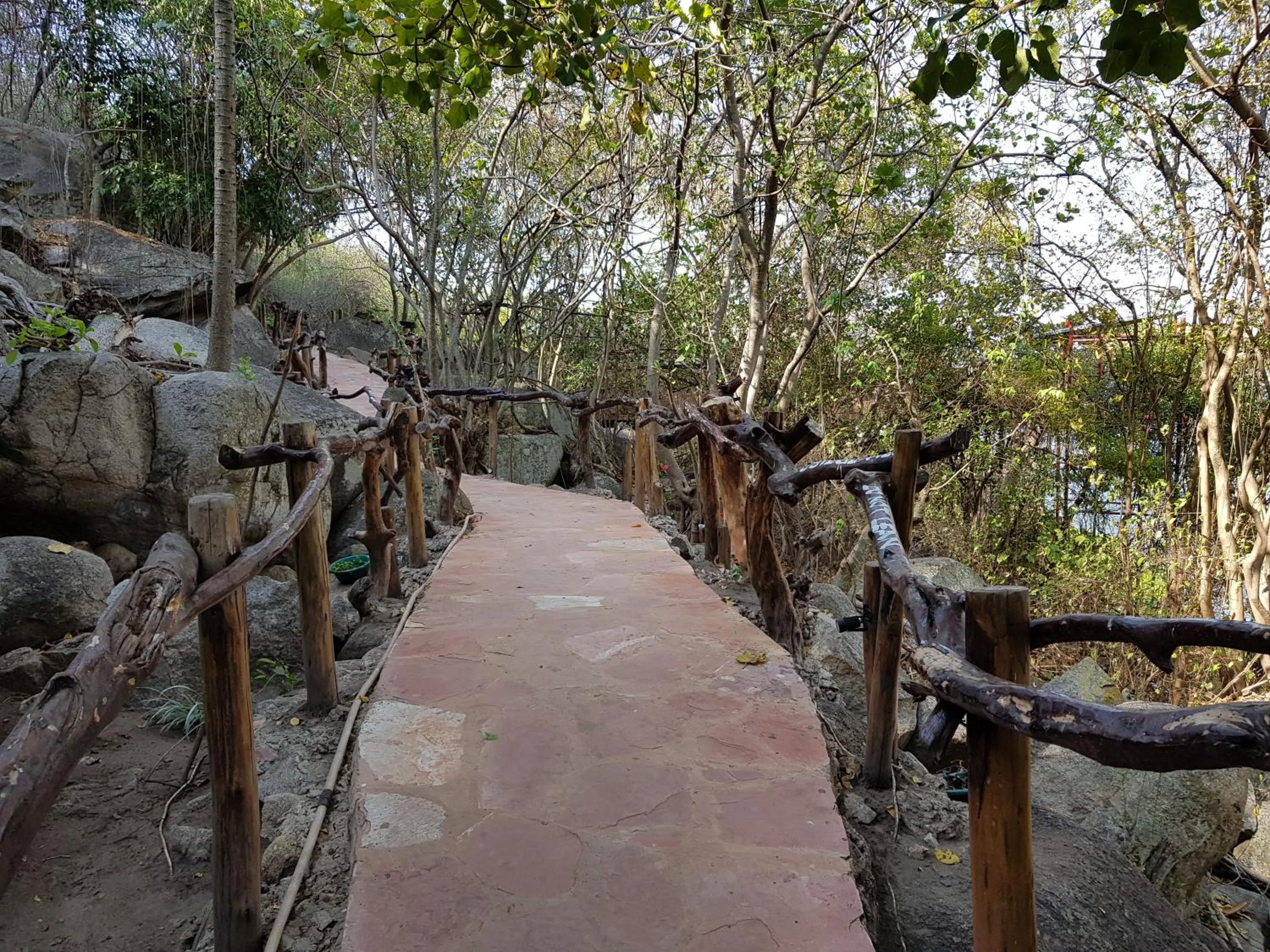 Natural landscape in Wag Hill Lodge & Spa