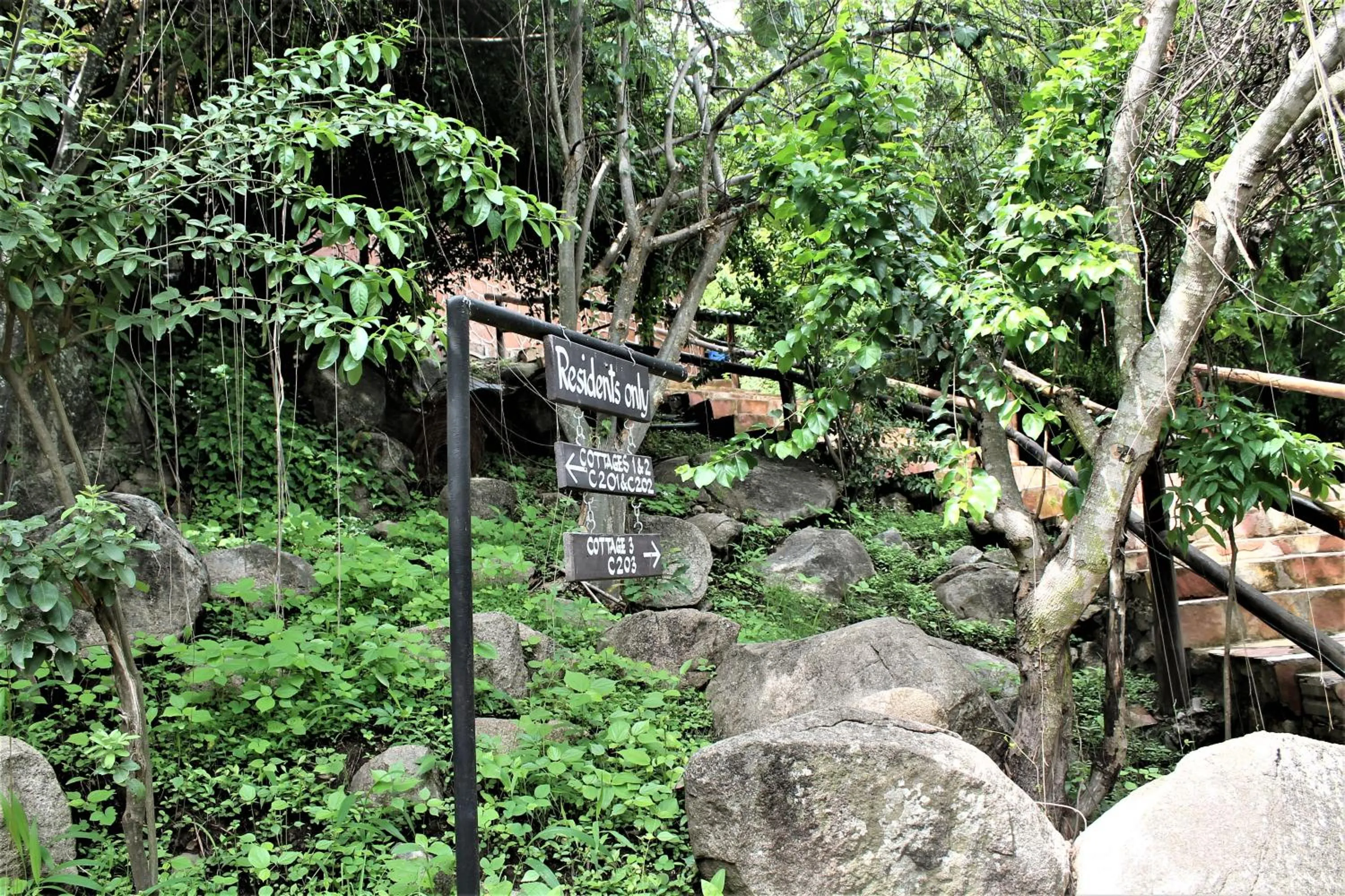 Natural landscape in Wag Hill Lodge & Spa