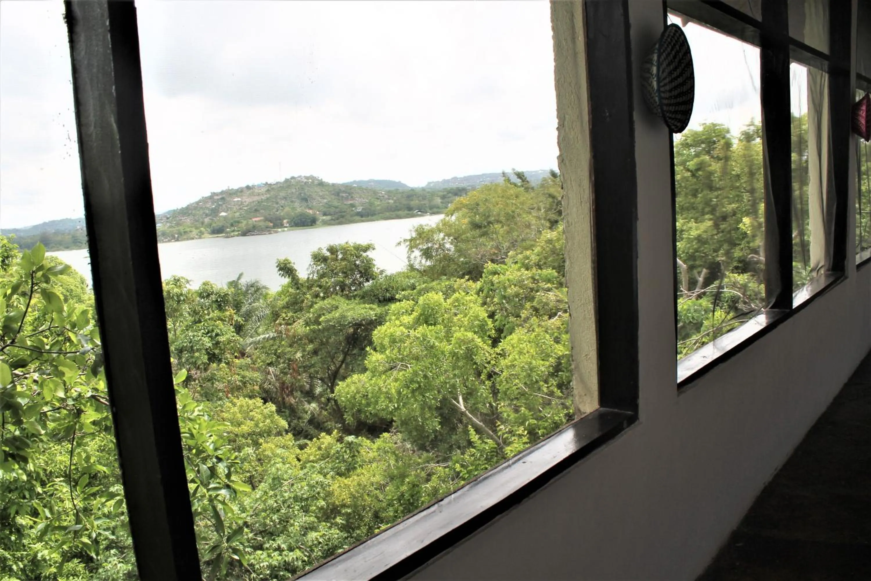 View (from property/room) in Wag Hill Lodge & Spa