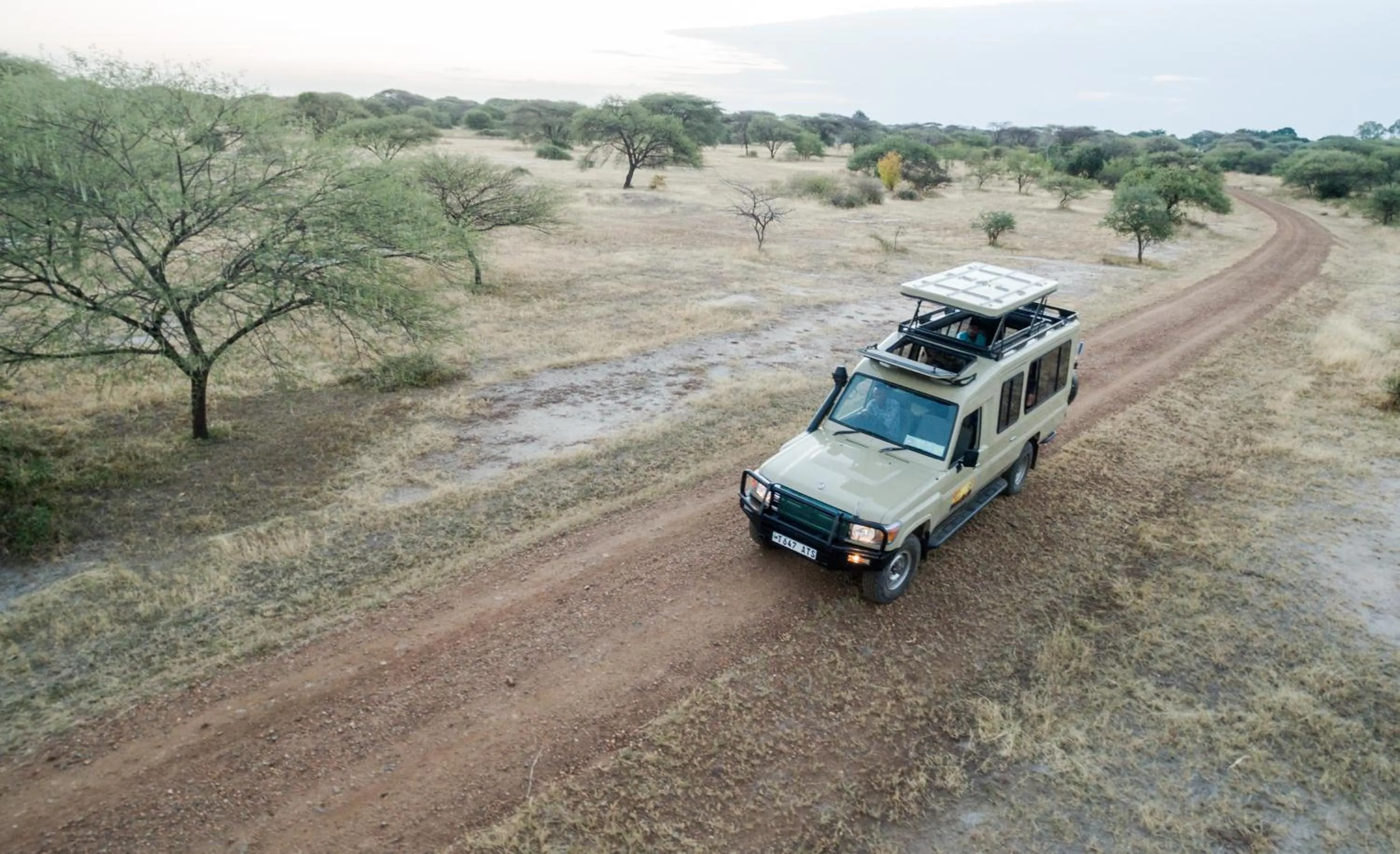 Activities in Wag Hill Lodge & Spa