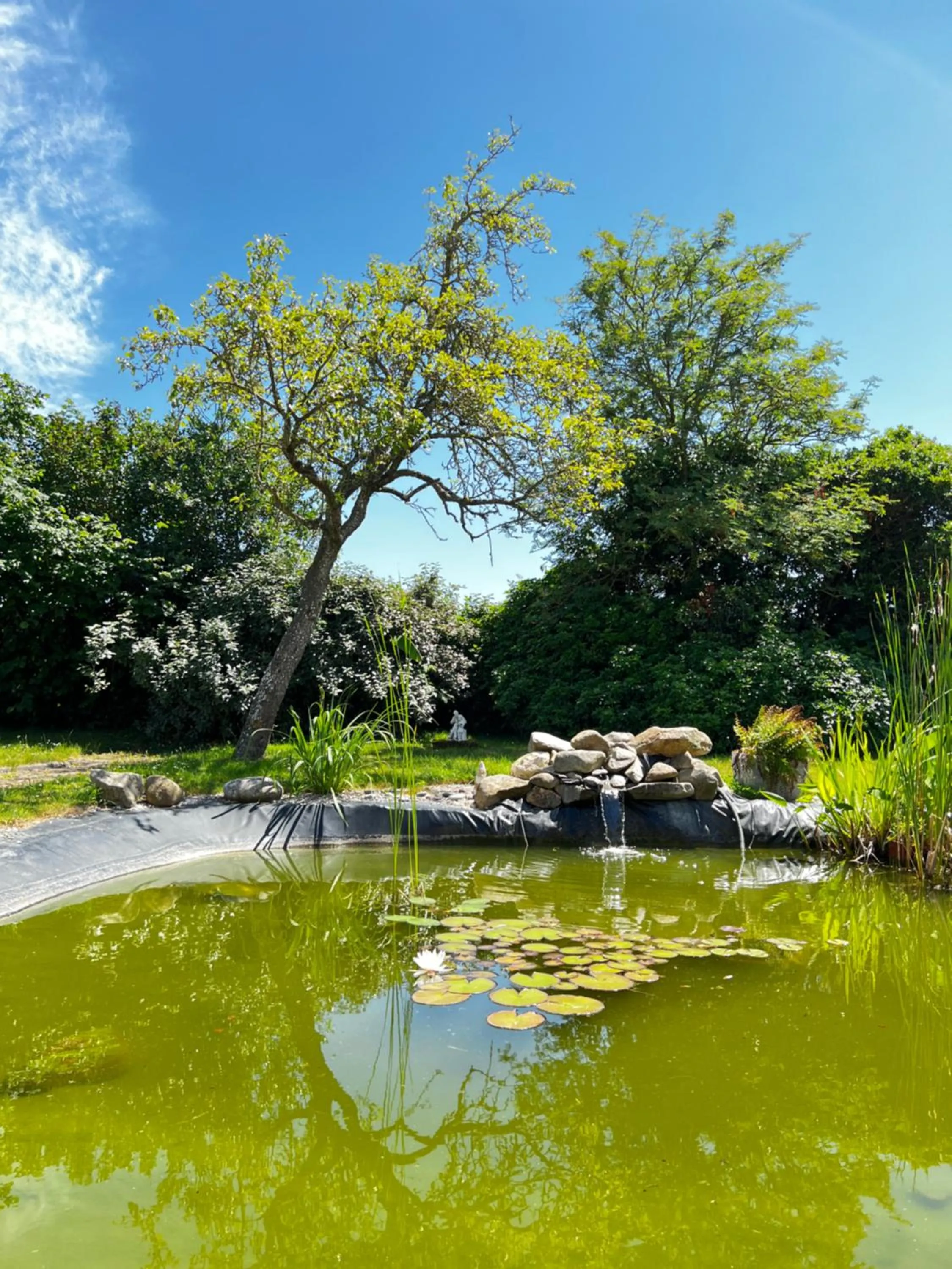 Garden in Contact Hotel Les Montois