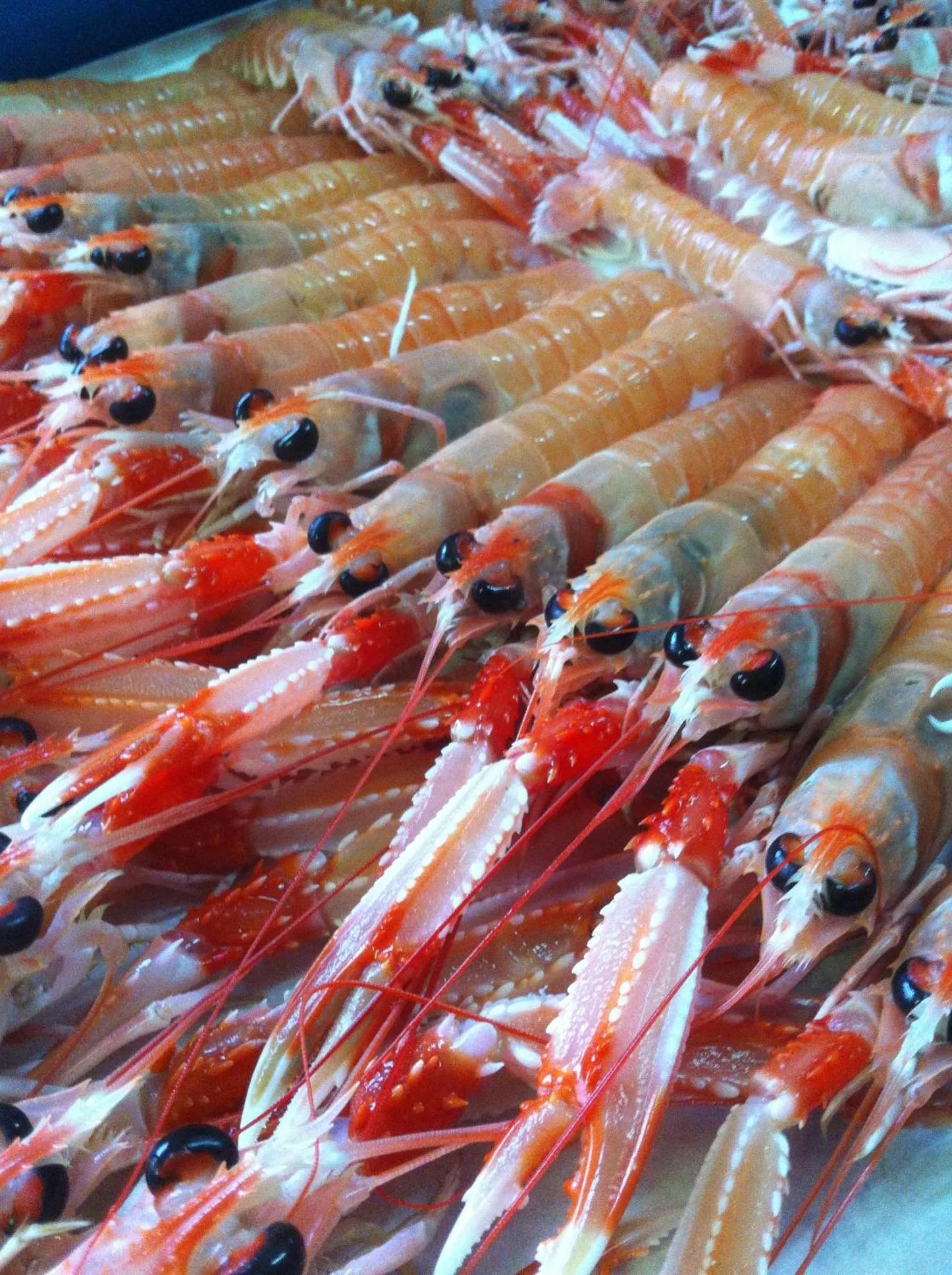 Restaurant/places to eat in Hotel Gri-Mar